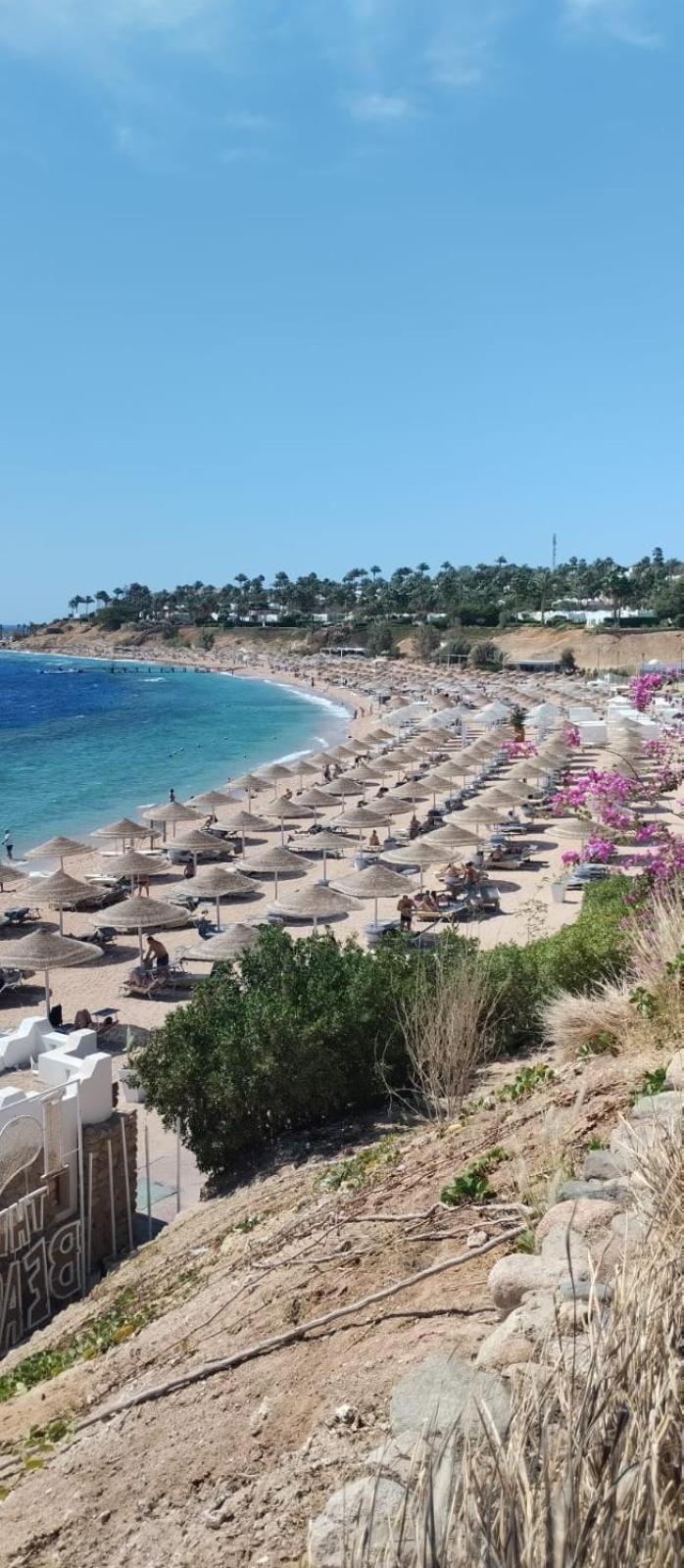 Domina resort