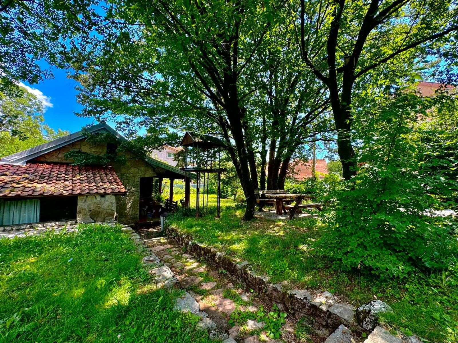 Artistic Garden House