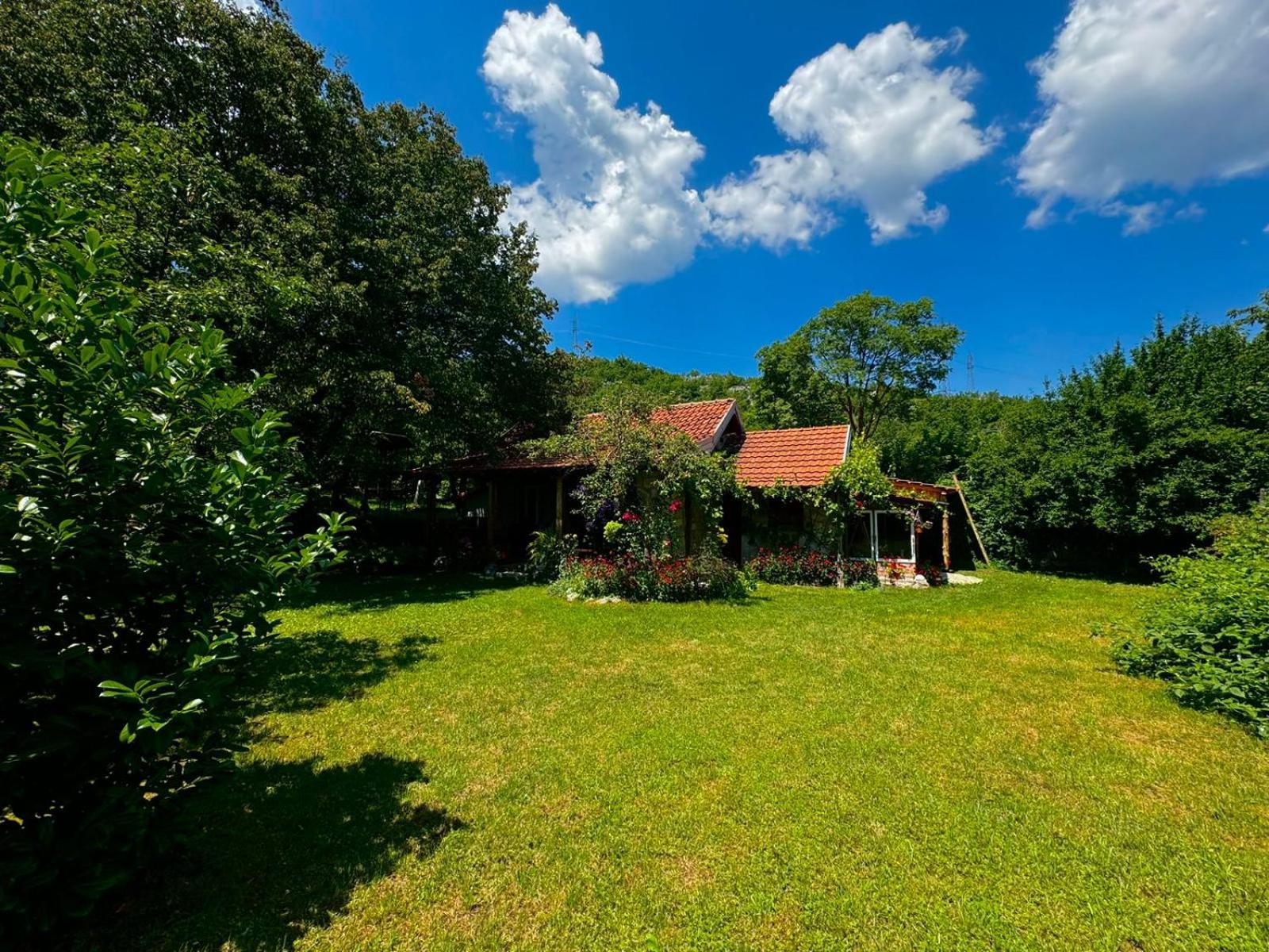 Artistic Garden House