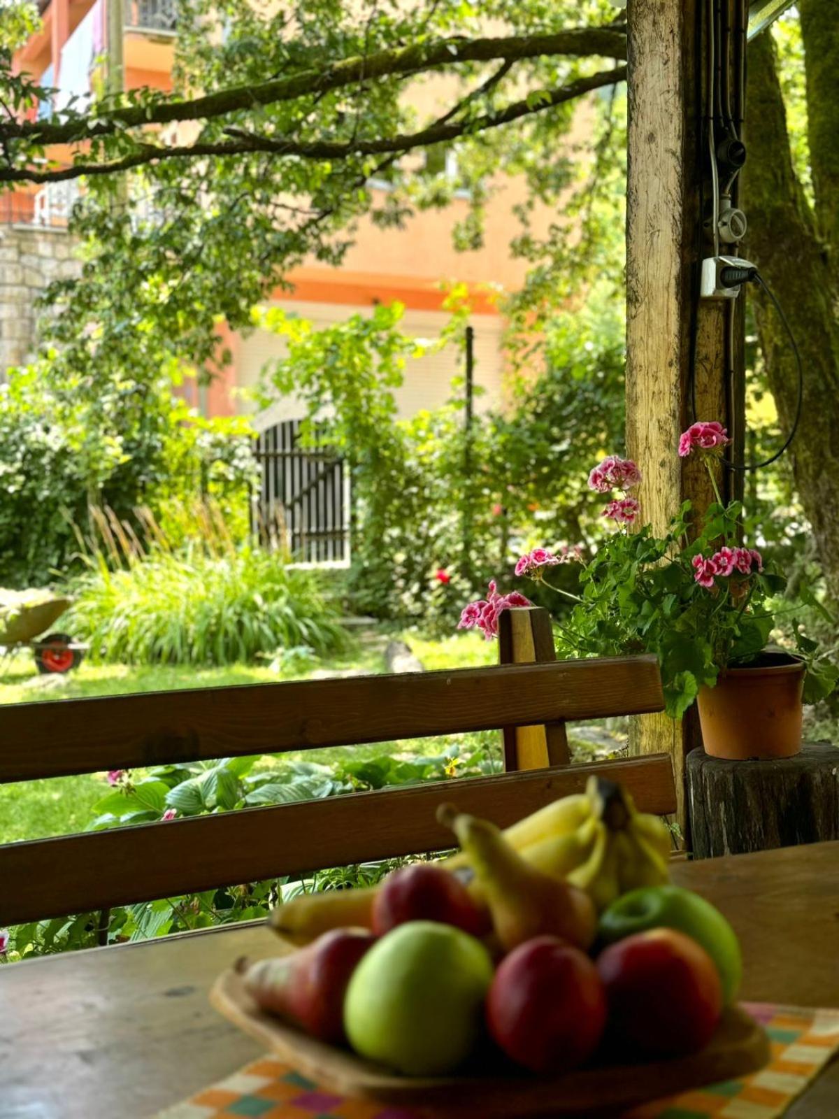 Artistic Garden House