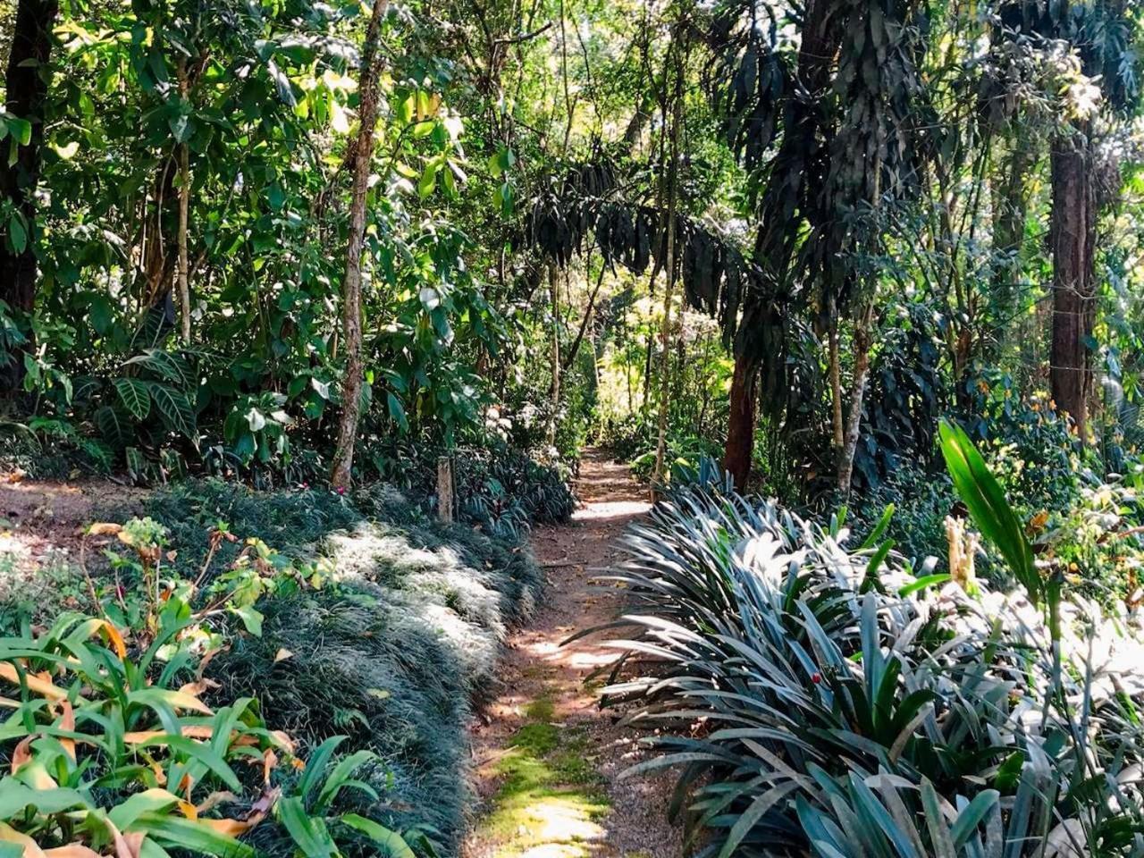 Loft Aconchegante em Meio à Natureza
