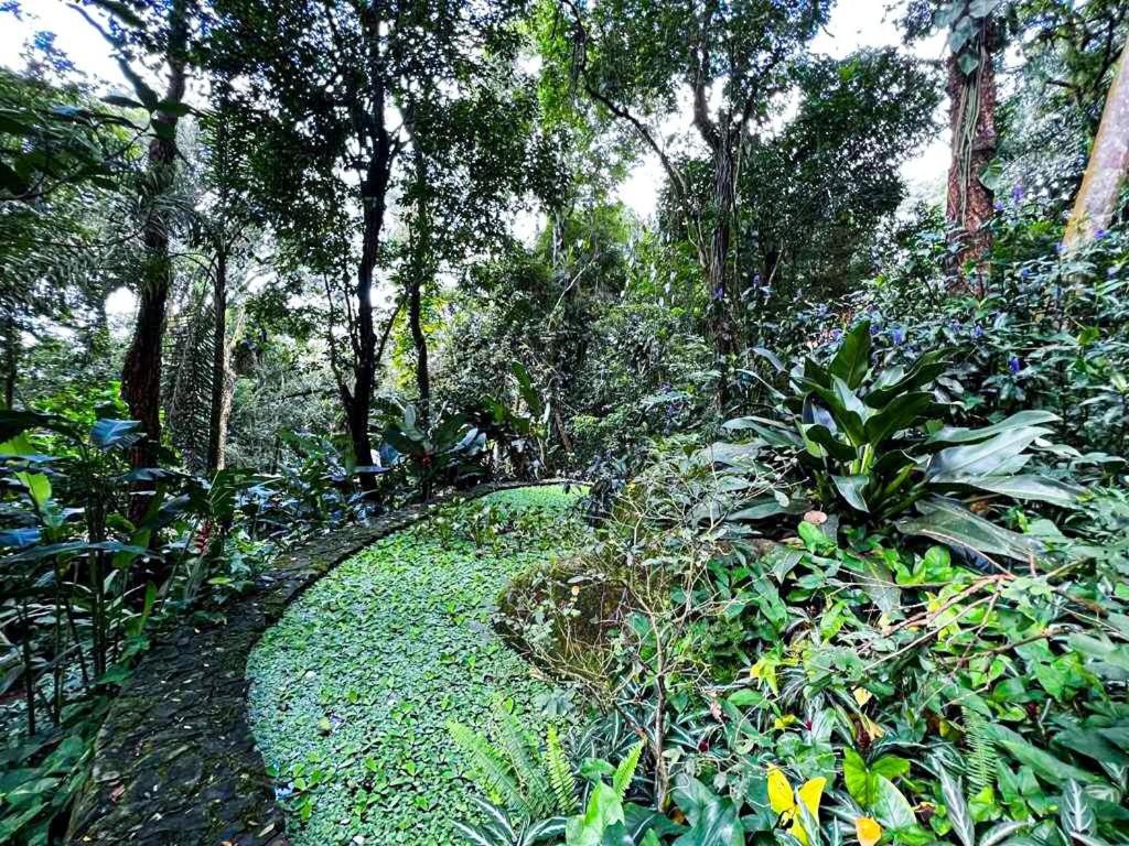 Loft Aconchegante em Meio à Natureza