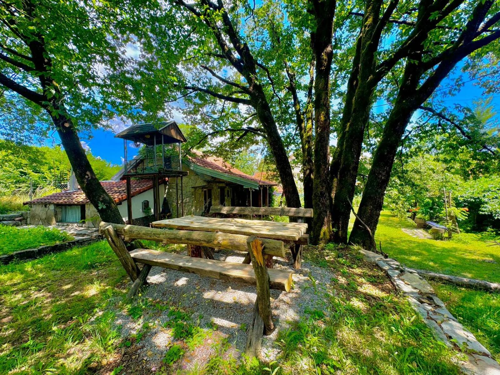 Artistic Garden House