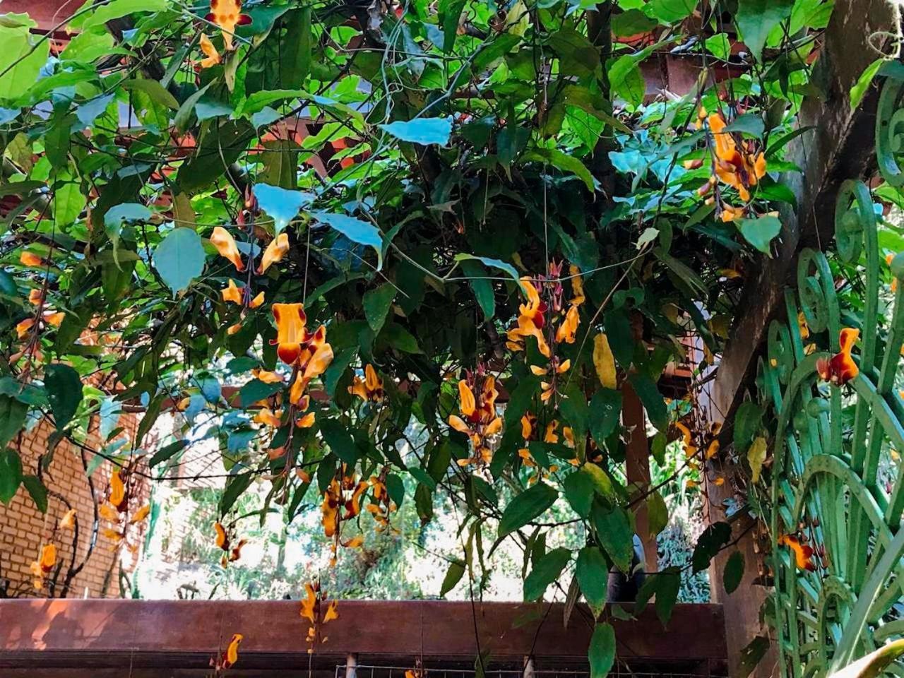 Loft Aconchegante em Meio à Natureza