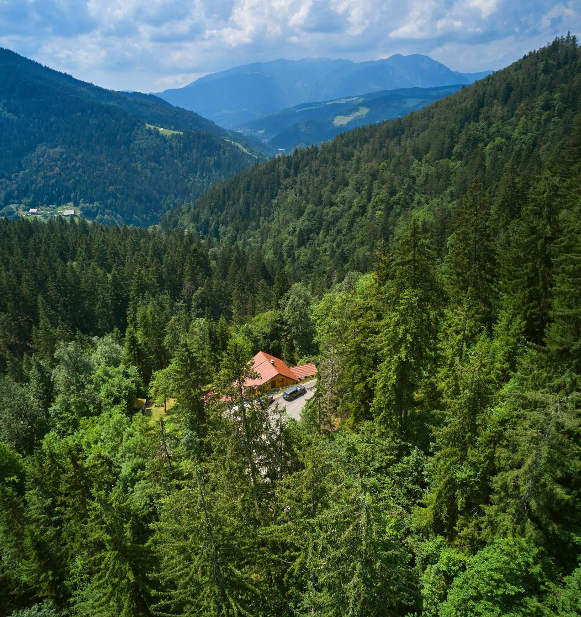 Vista Larix Chalet view 3