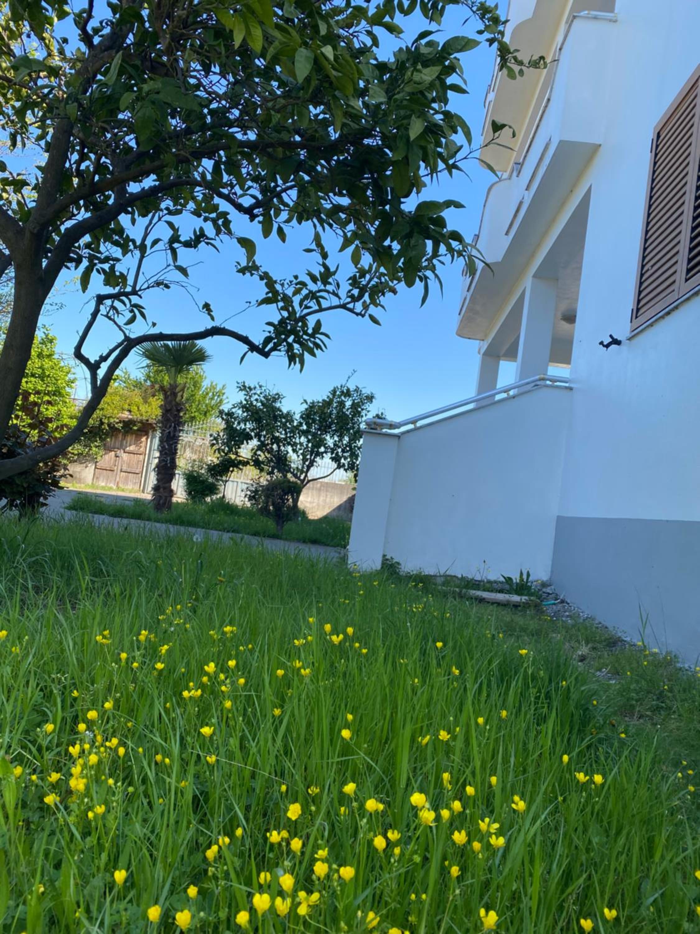 Kiwi Villa - Shkoder