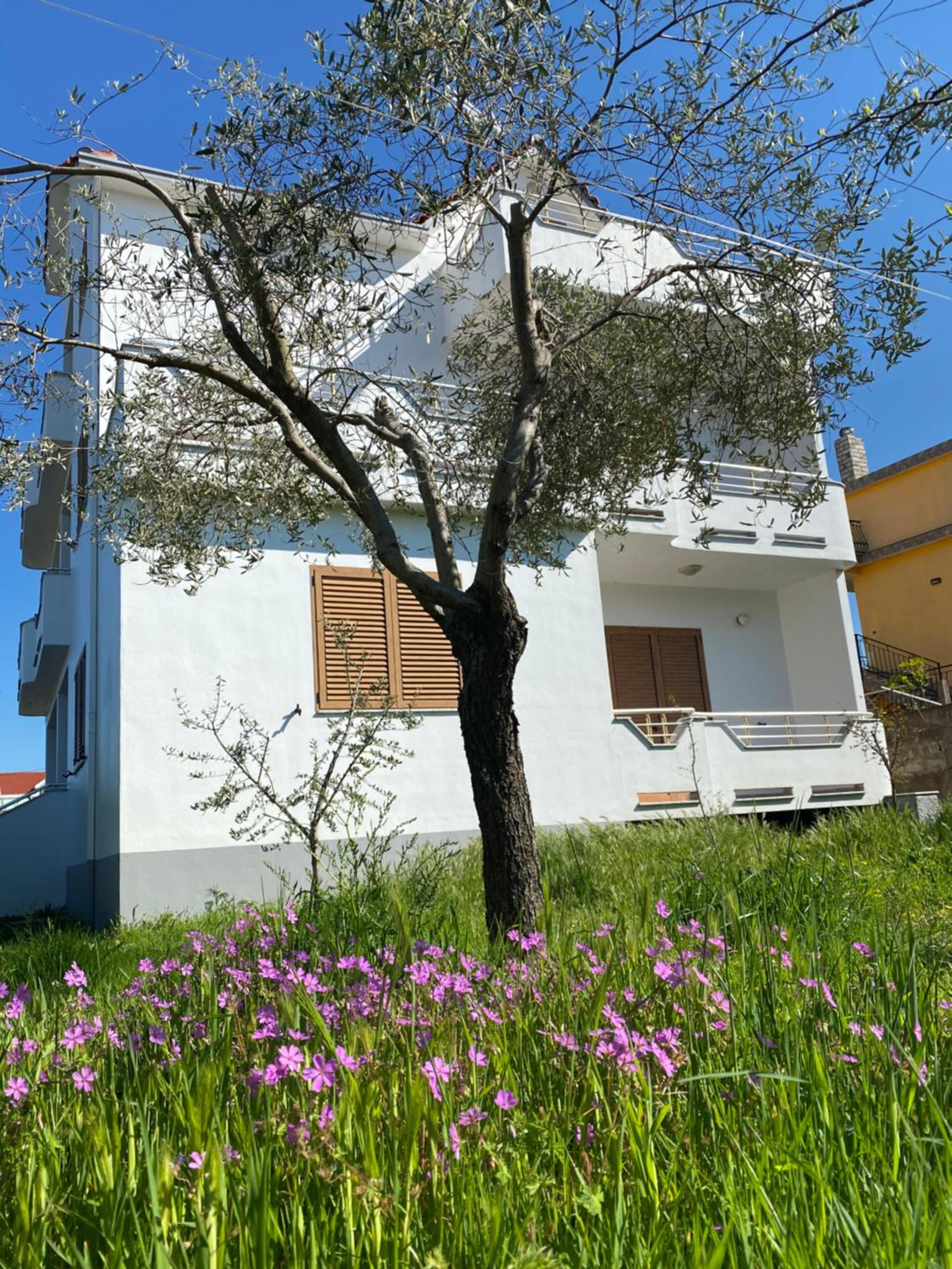 Kiwi Villa - Shkoder
