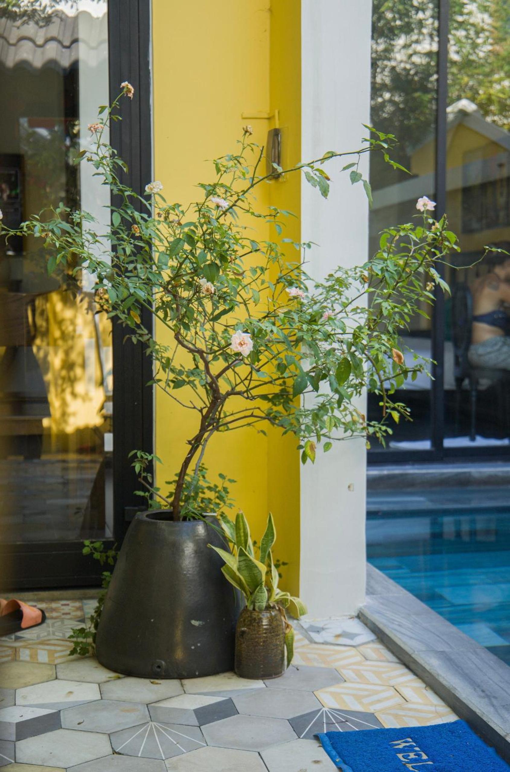 Hoi An Heritage Rosie Villa - 2 Bedrooms with Private Pool and Authentic Hoi An Decor view 4