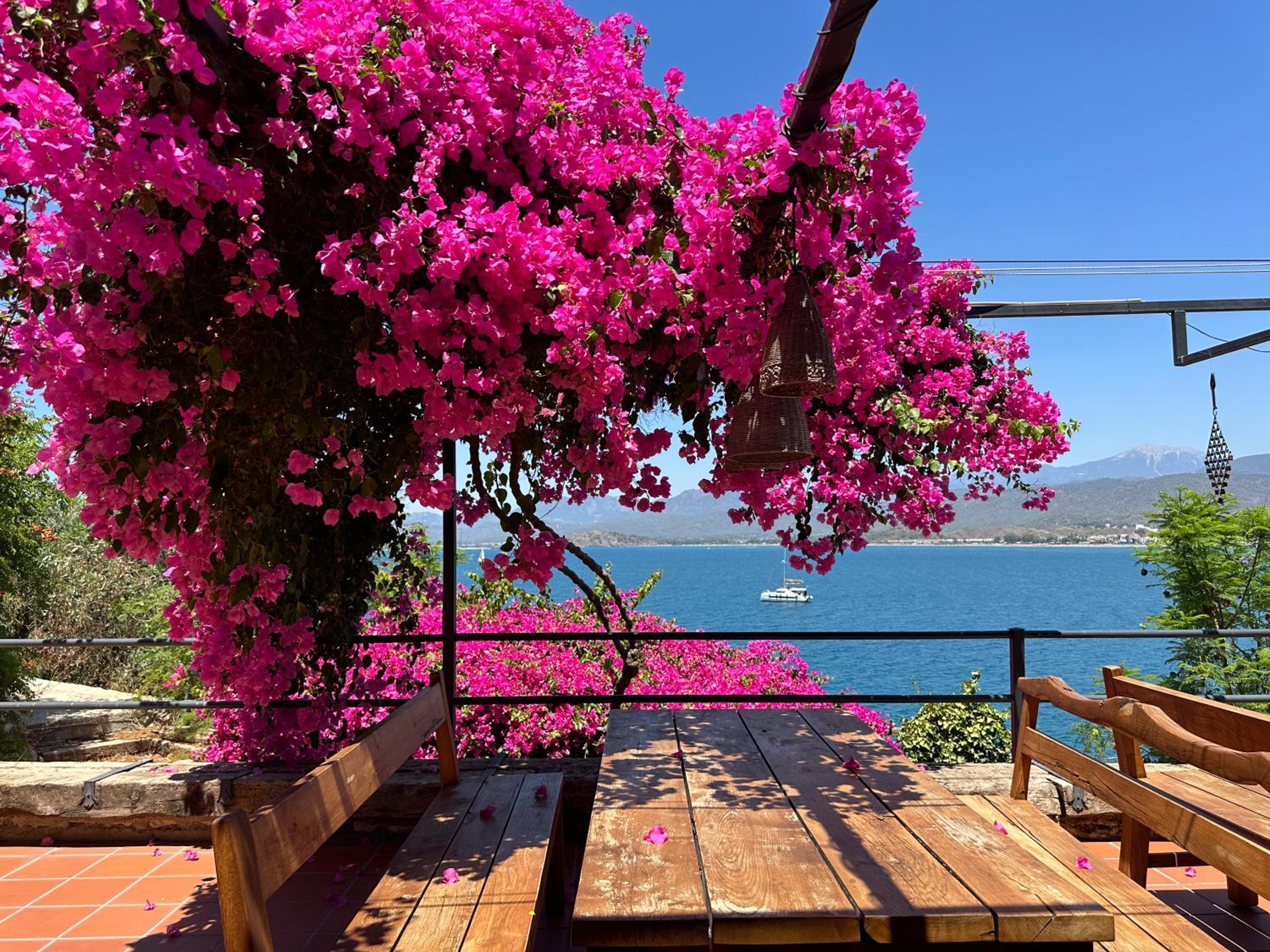 Ece Otel Sovalye Adası - Image 8