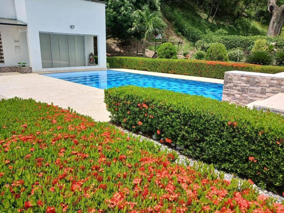 Antokia finca en Santa fe de Antioquia