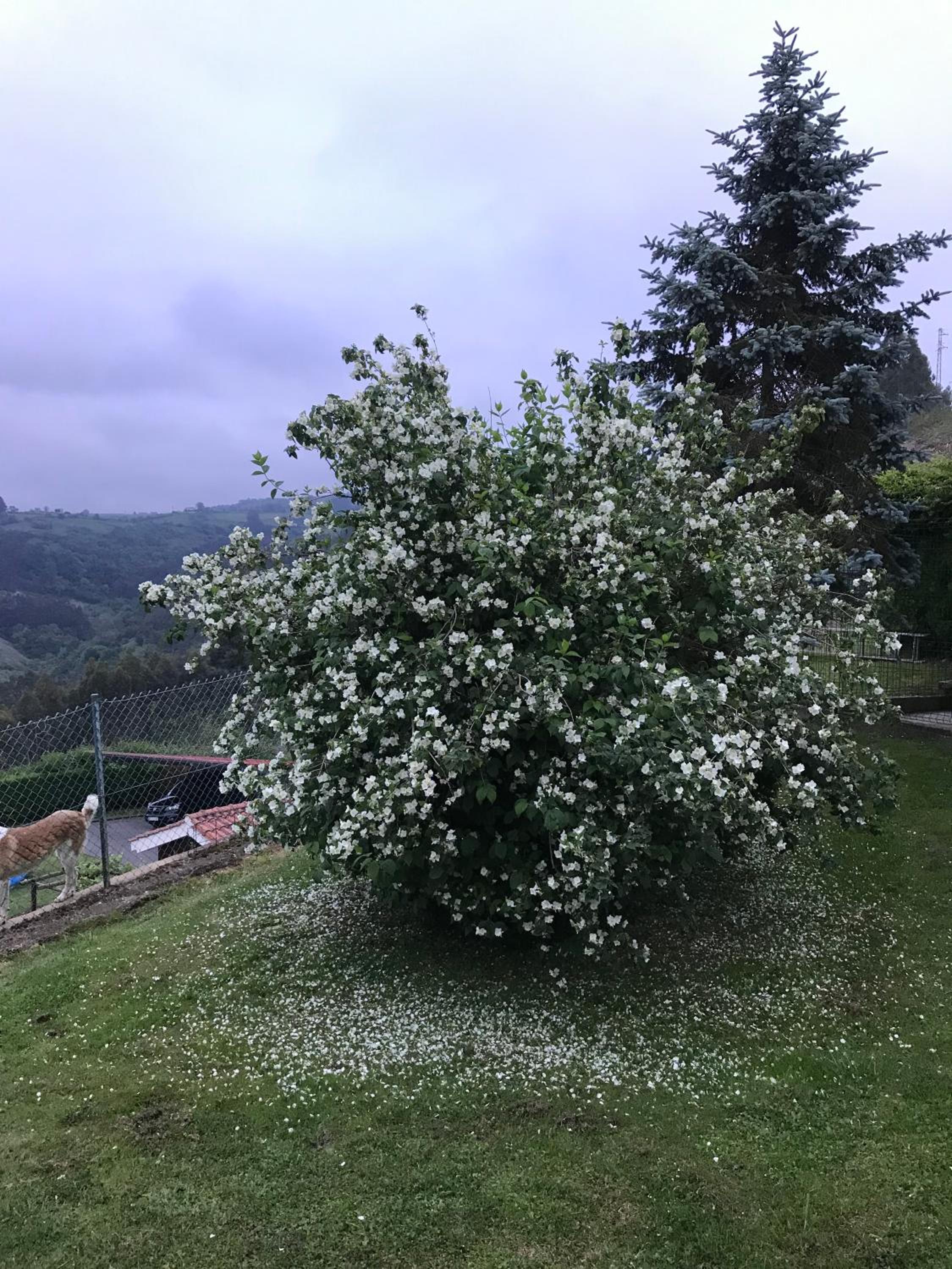 La Atalaya