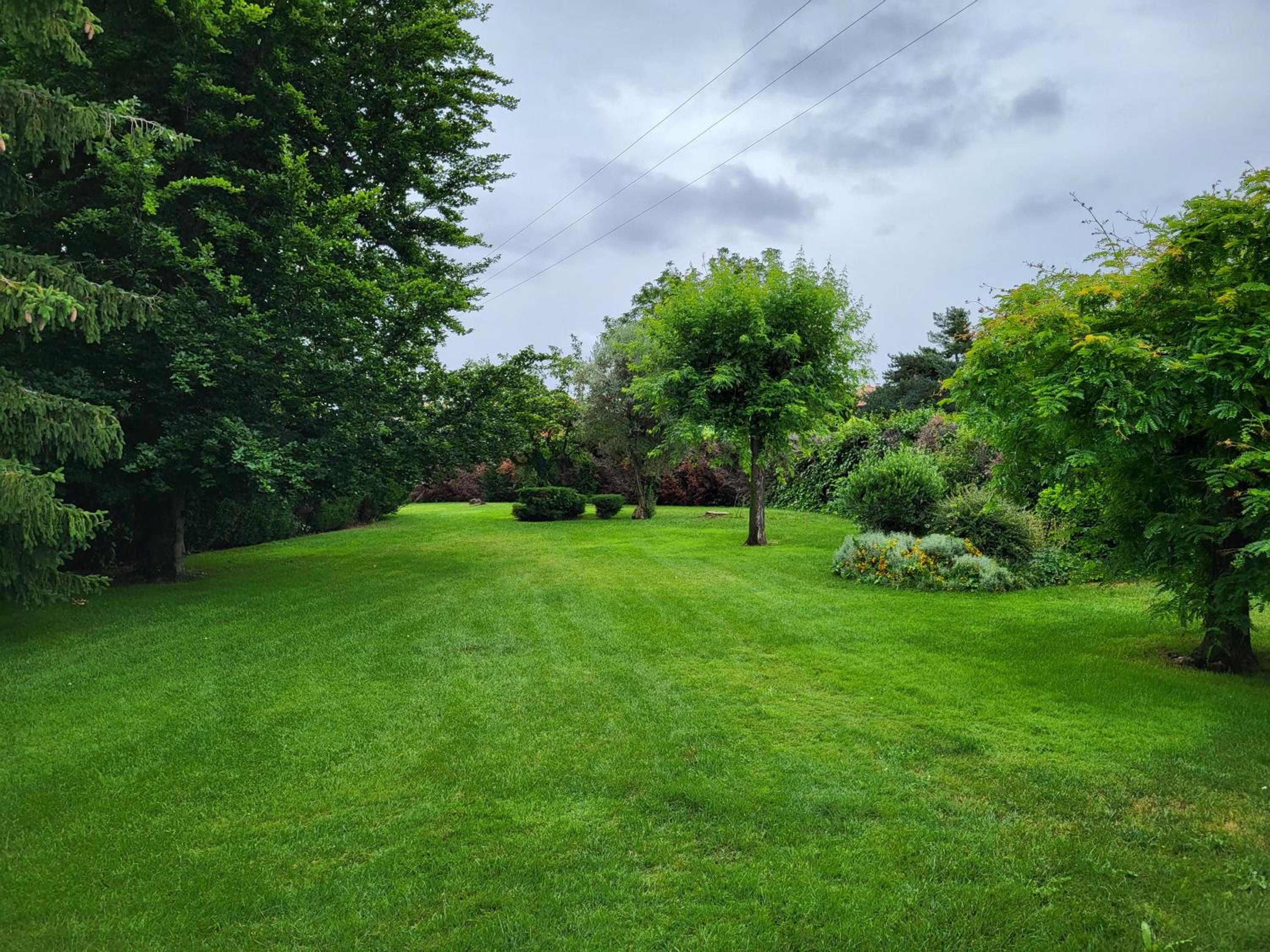 Photo 45