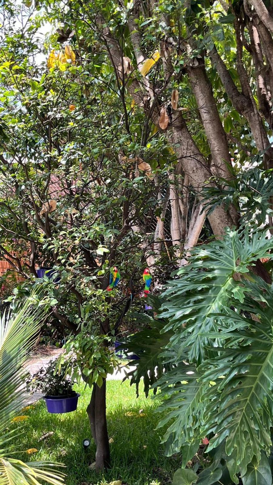 Casa Calnacazco