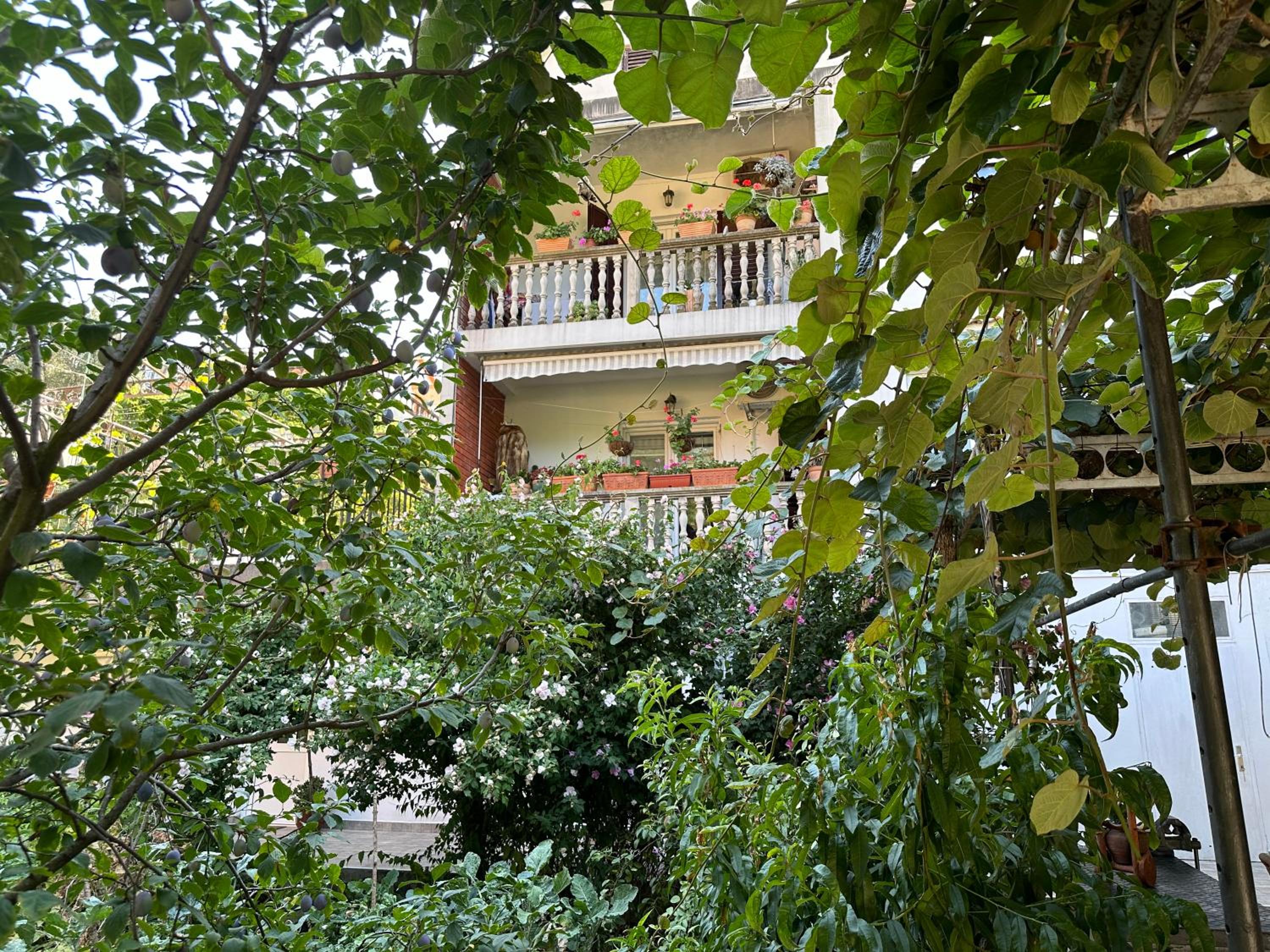 Apartments Suzana