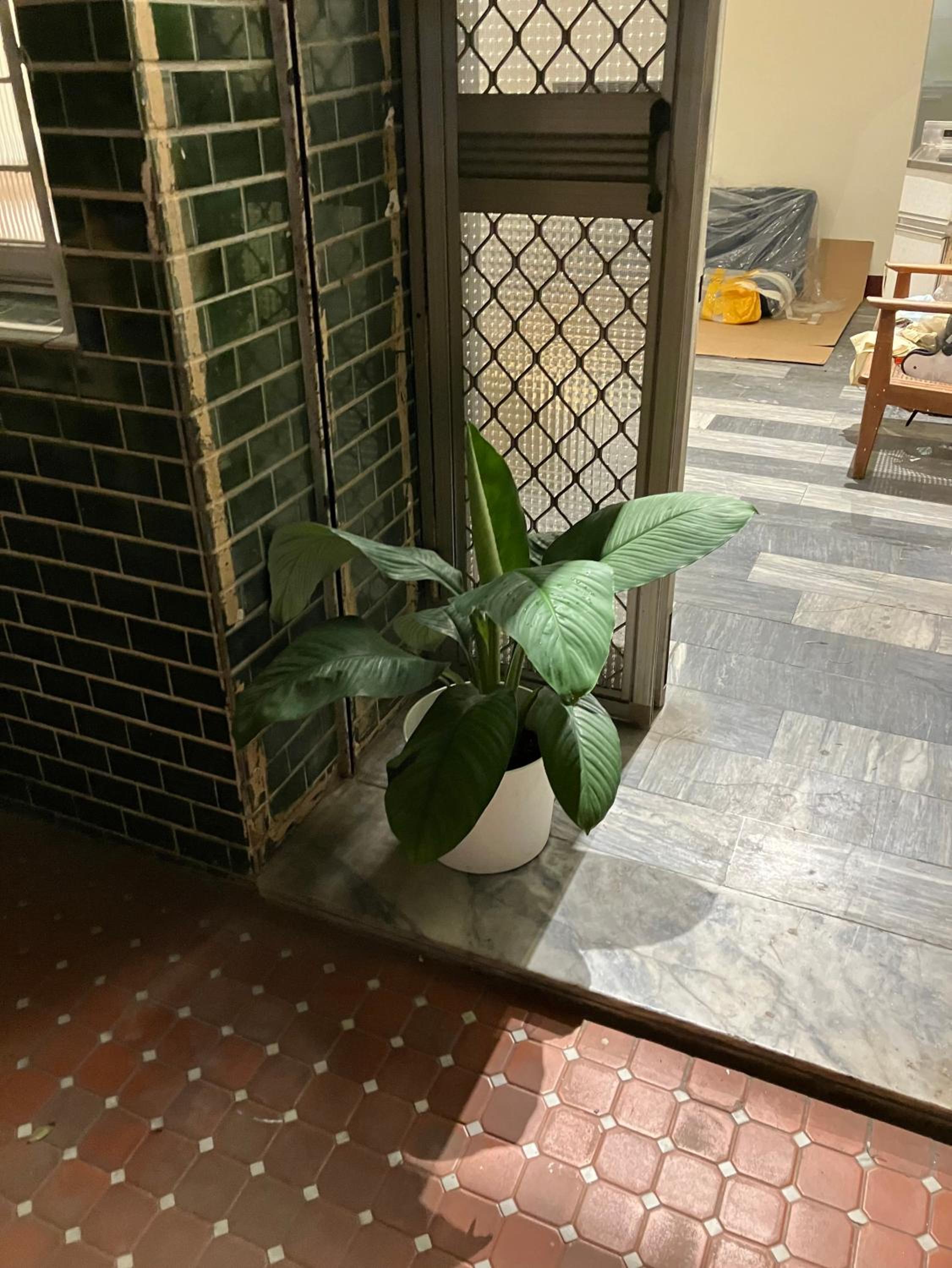 阿霞袂睏MAMAzzzzHostel view 4