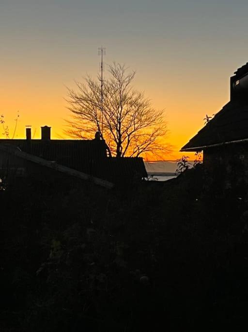 Charmerende hus i idylliske Lynæs