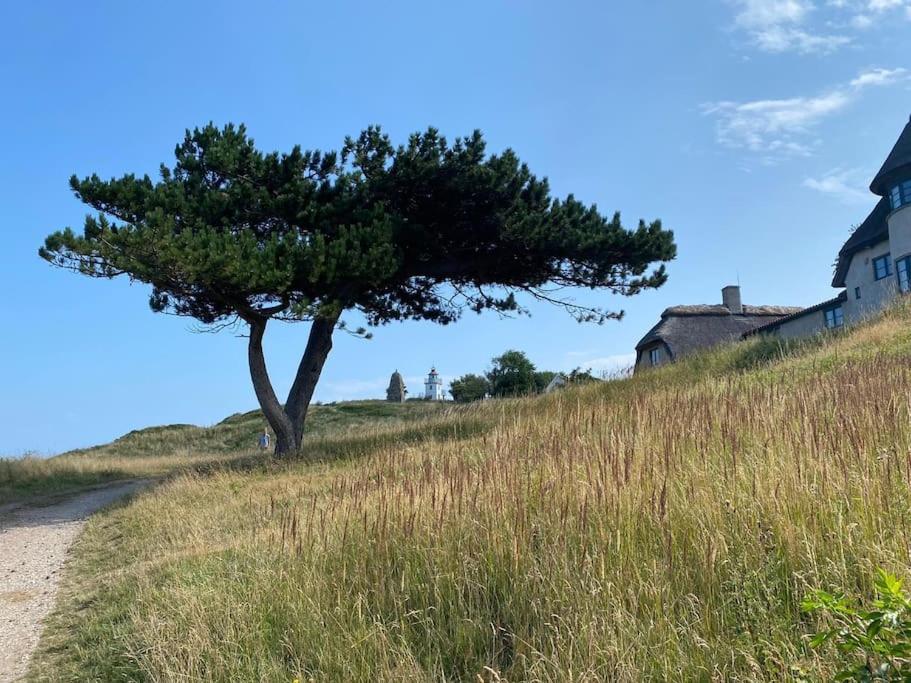 Charmerende hus i idylliske Lynæs
