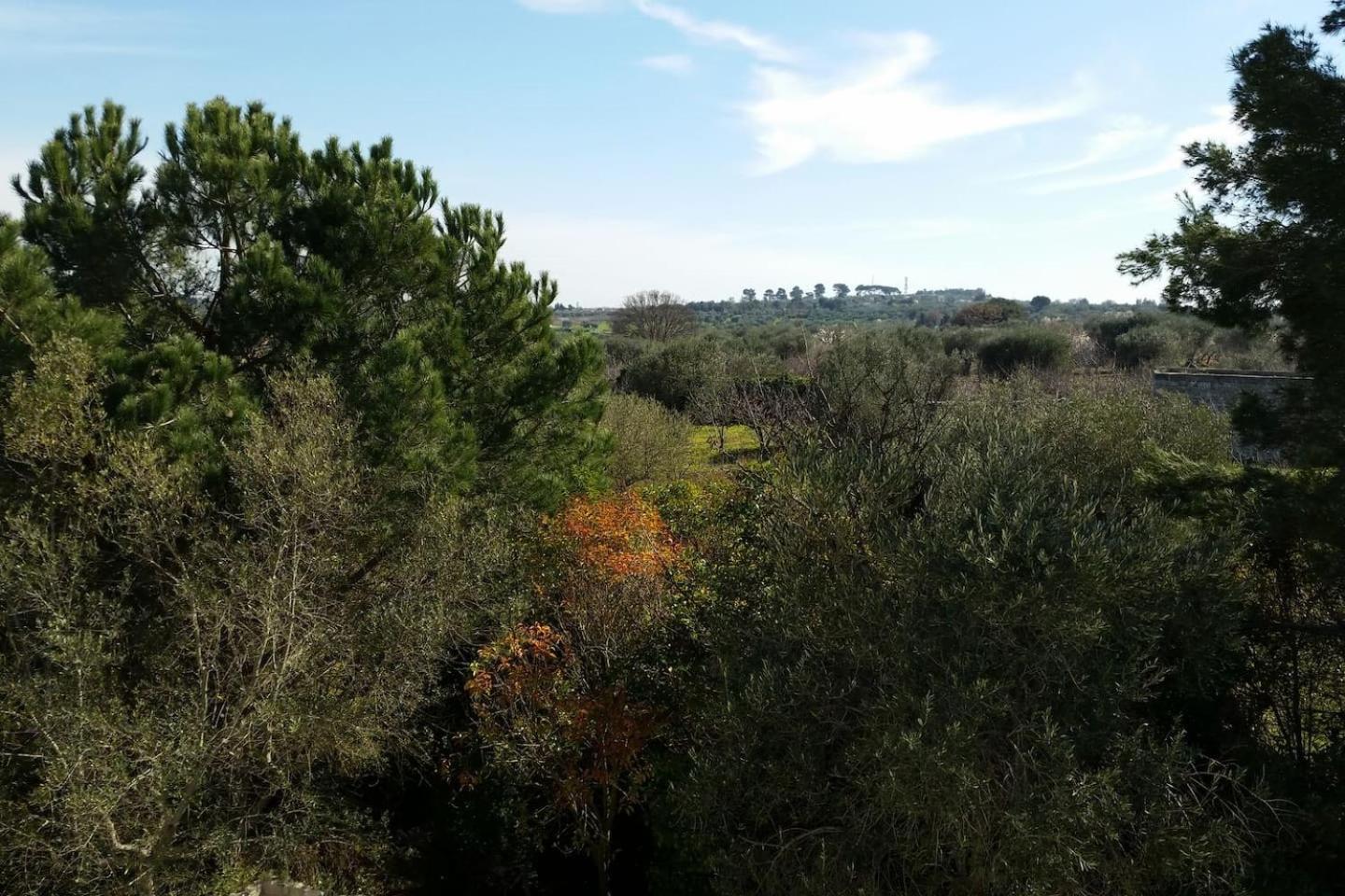 Masseria Lama Piccola