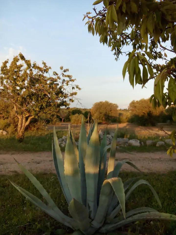 Masseria Lama Piccola