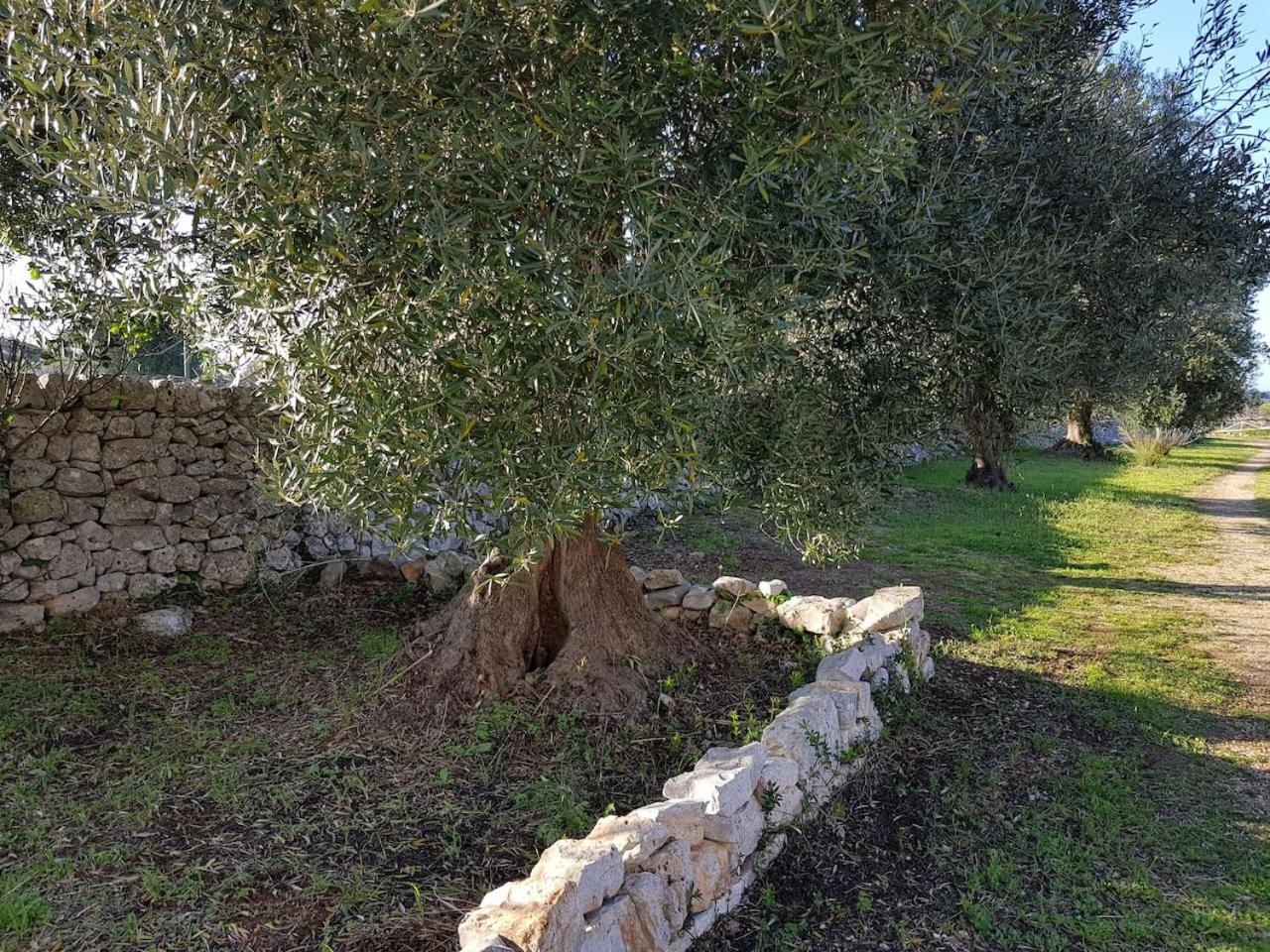 Masseria Lama Piccola