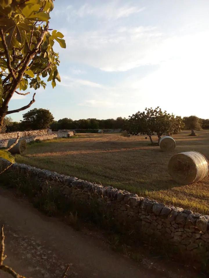 Masseria Lama Piccola