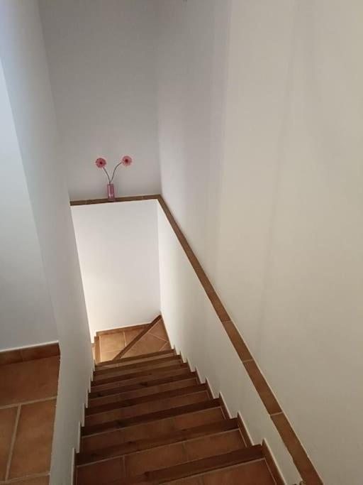 Villa Petra