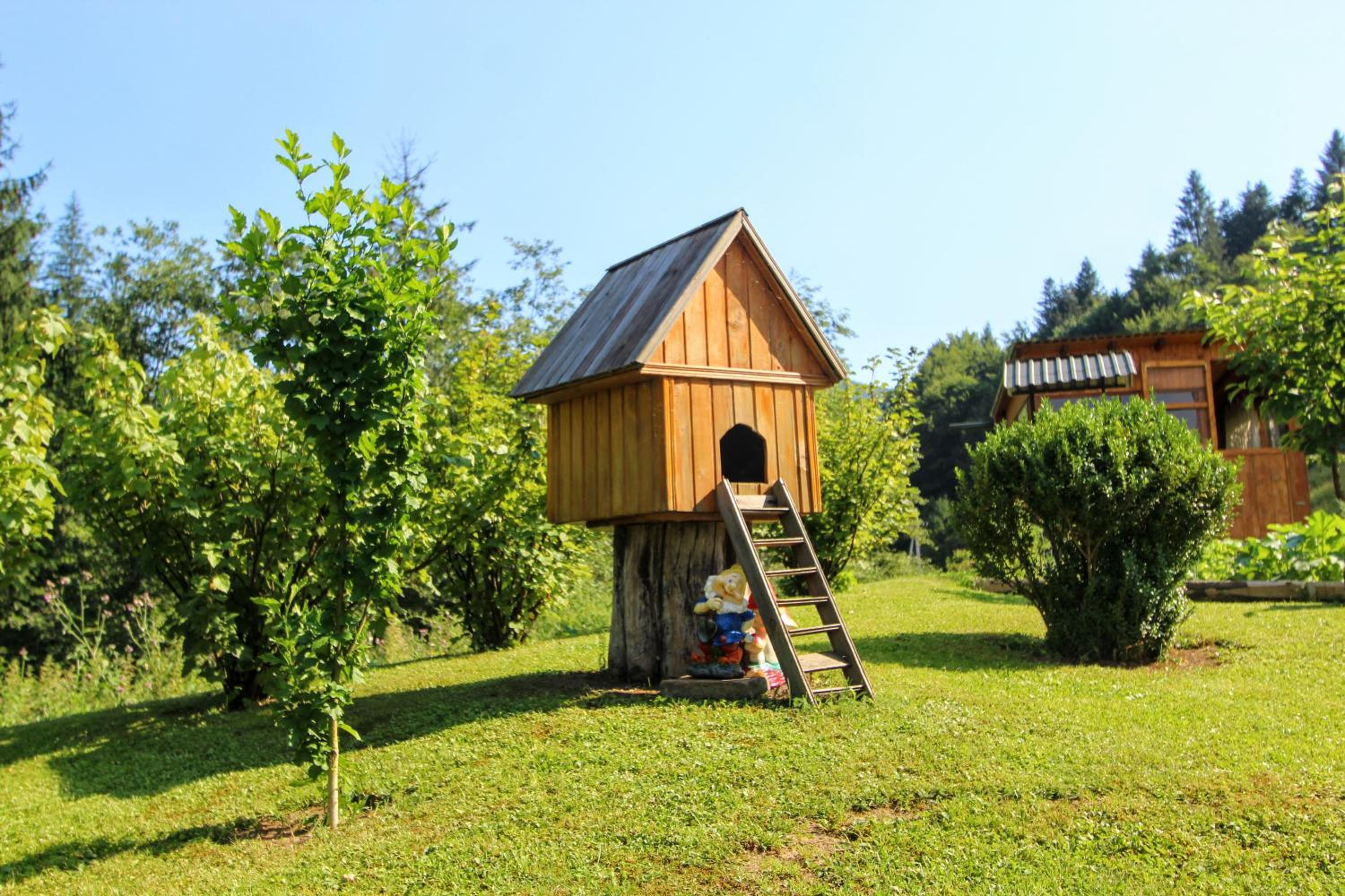 Photo 10