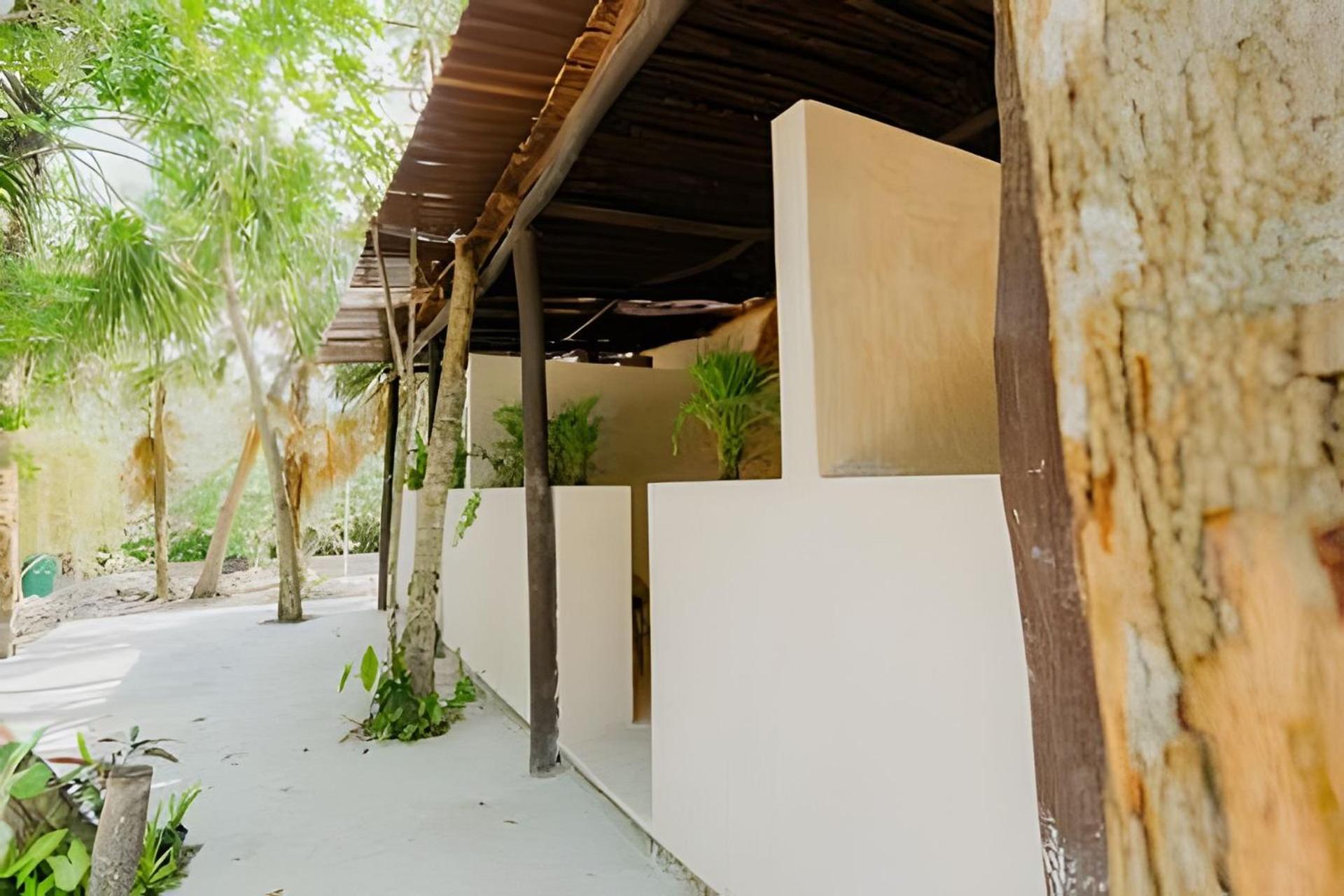 Nómadas Bacalar- Departamentos -