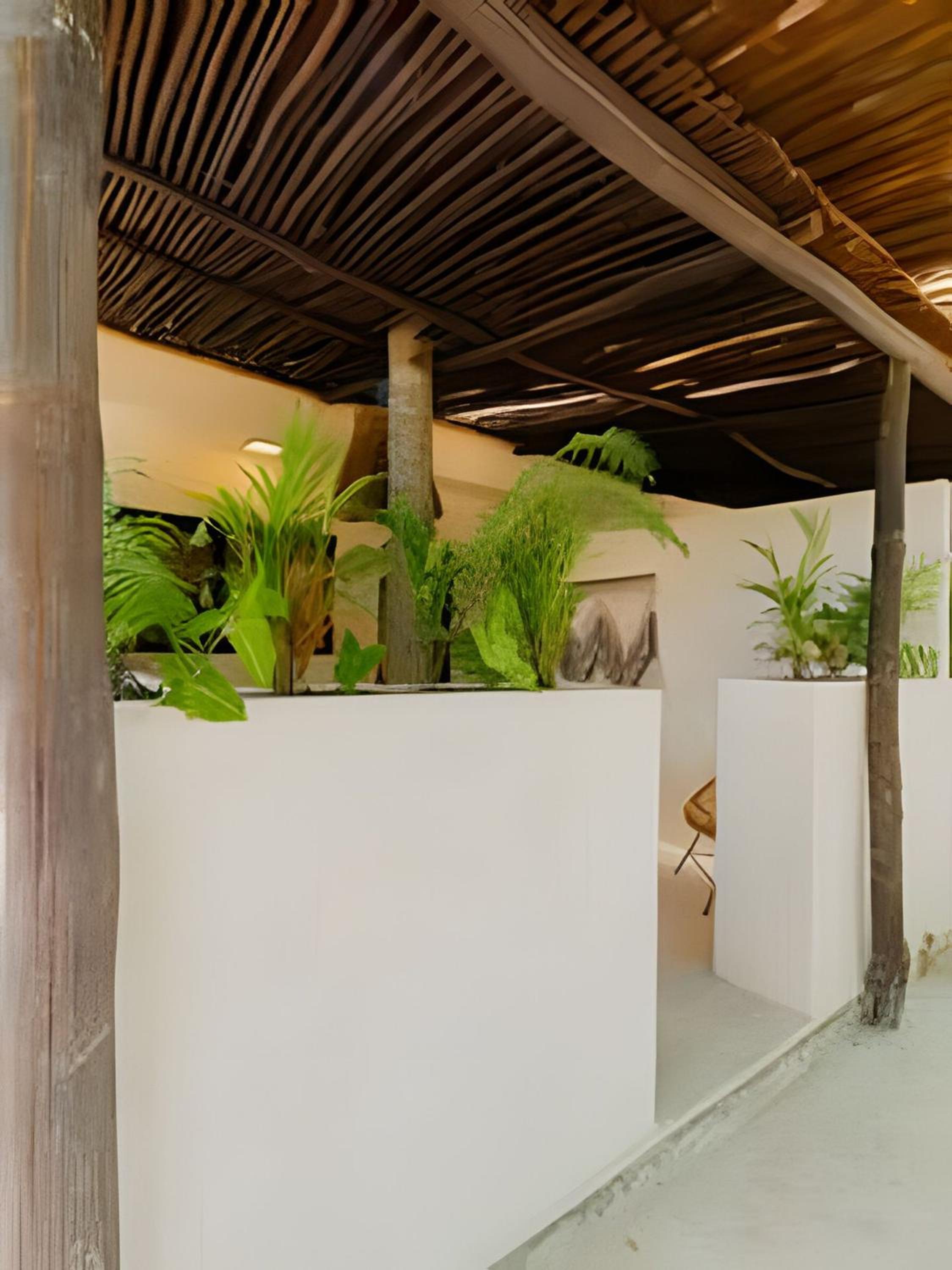 Nómadas Bacalar- Departamentos -