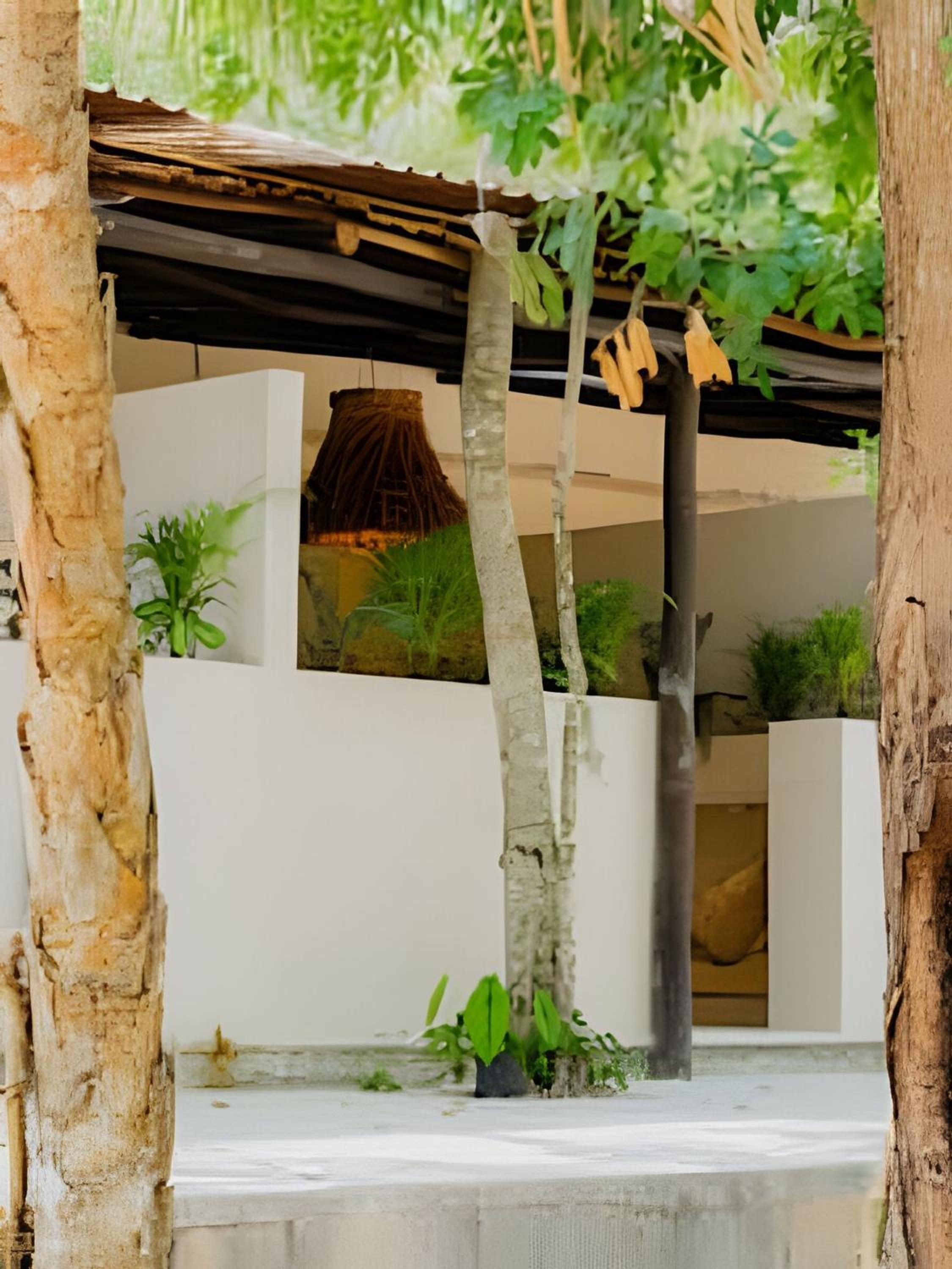 Nómadas Bacalar- Departamentos -