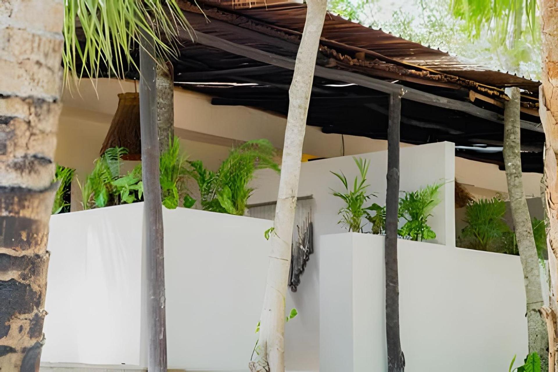 Nómadas Bacalar- Departamentos -