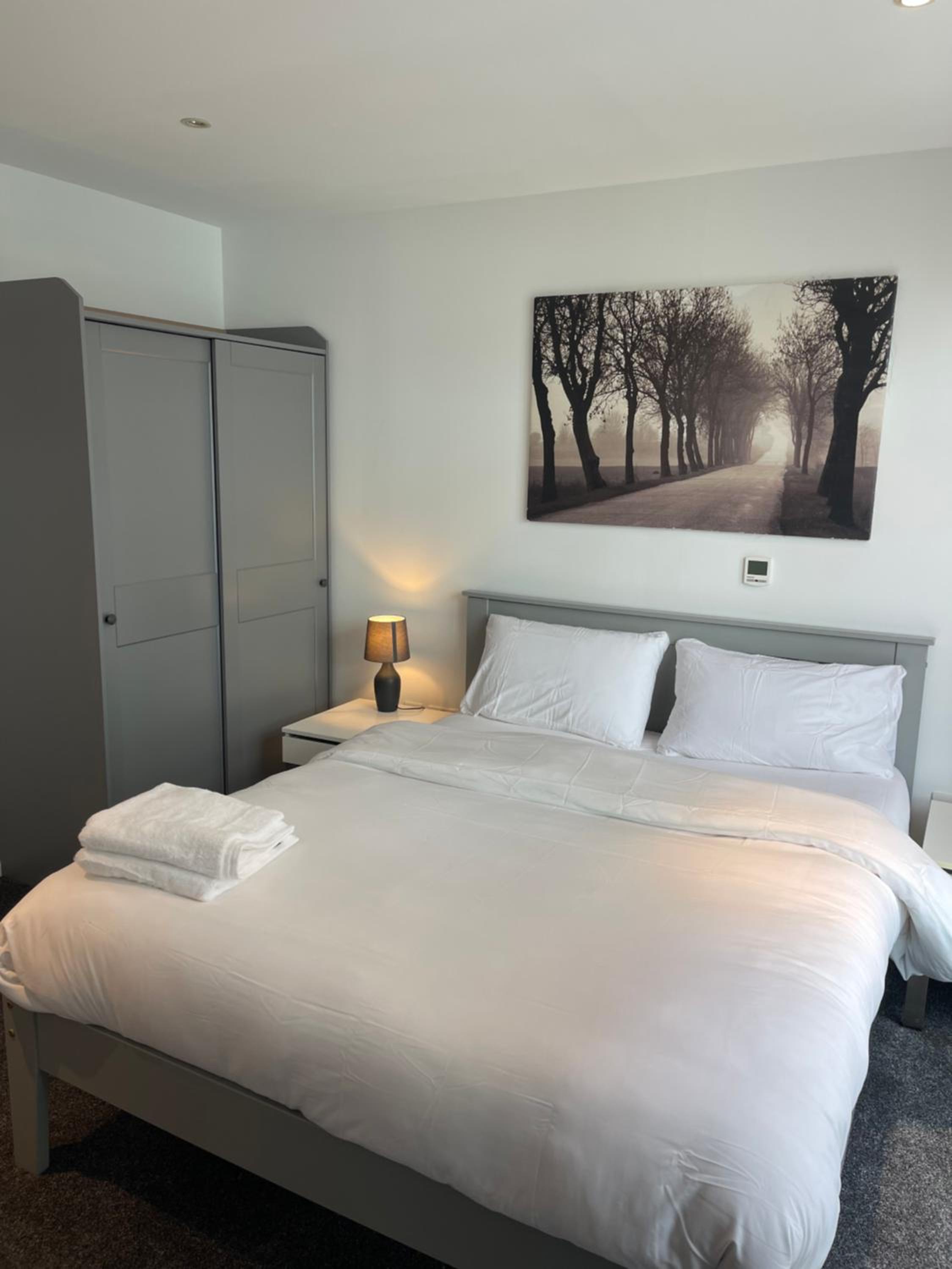 Modern Luxury 2 bedroom apartment in London Excel