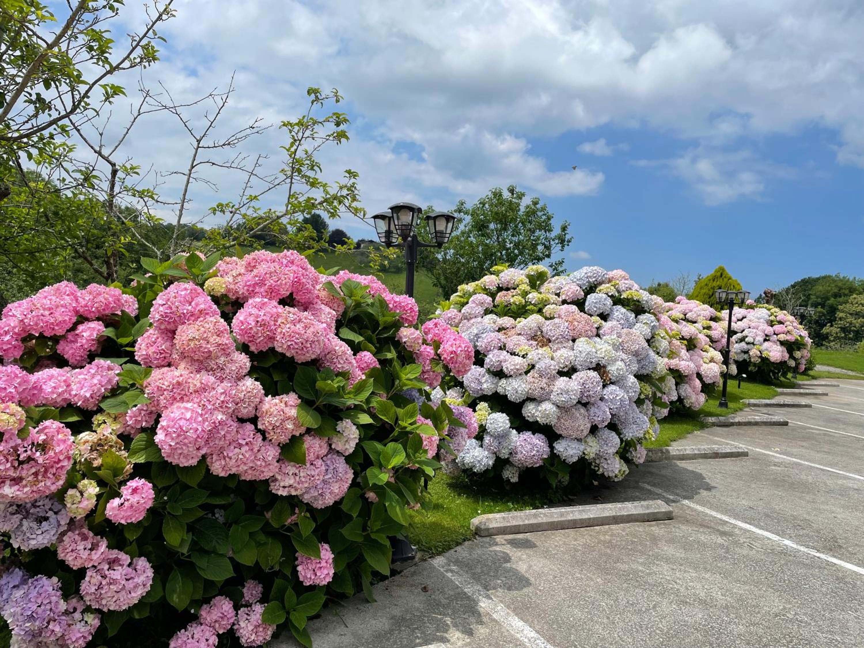 Agroturismo Erretegi Haundi
