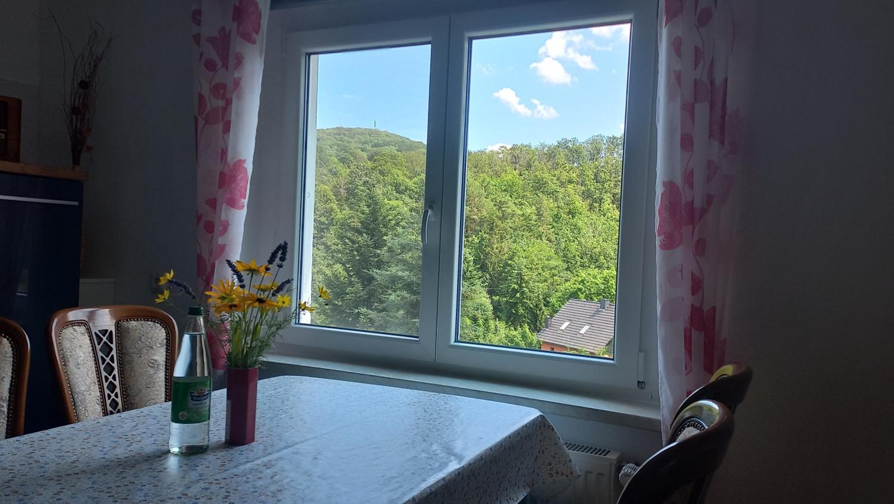 Ferienwohnung Erzgebirgswohnung Götze