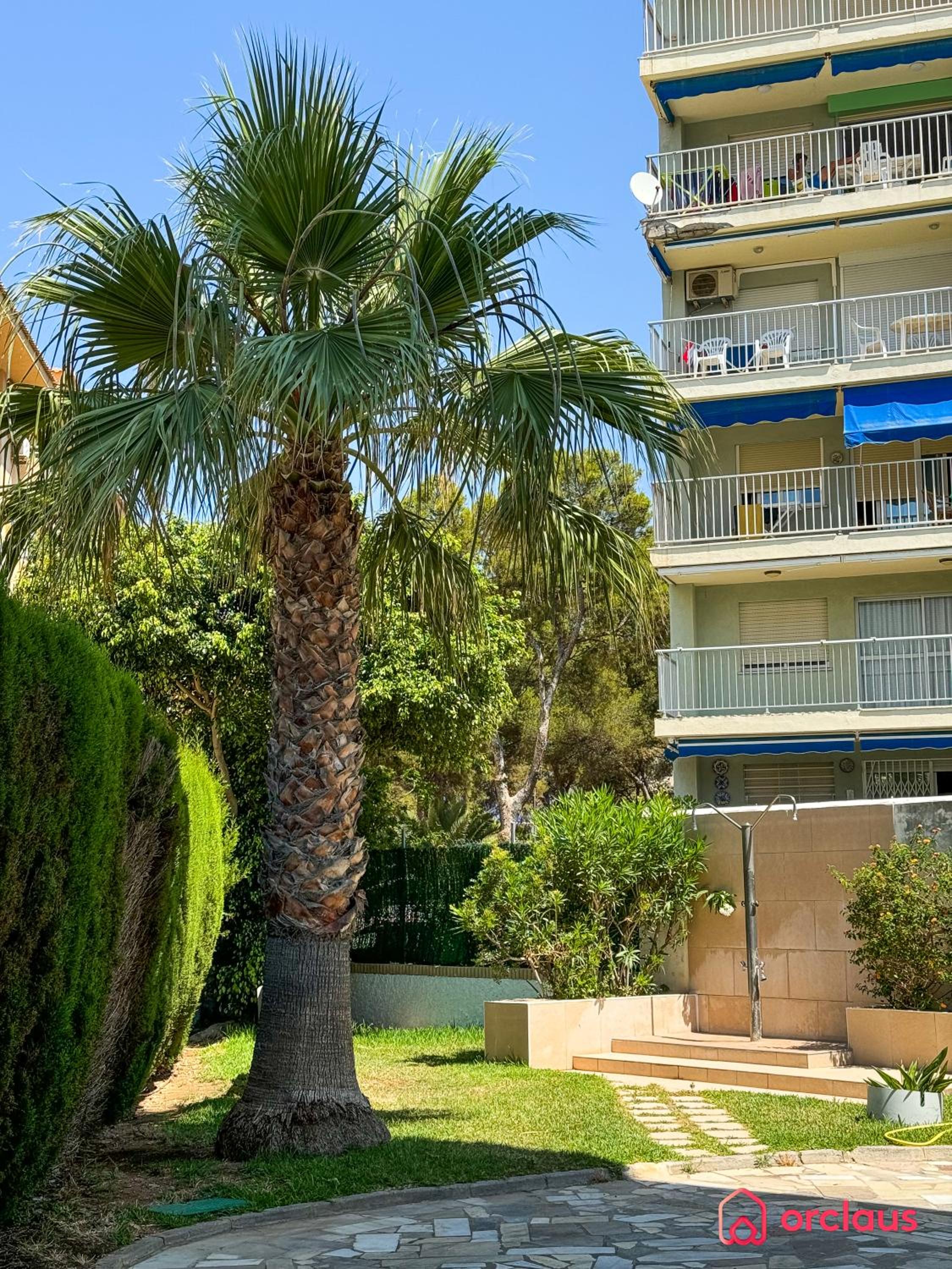 Mediterráneo Paradise
