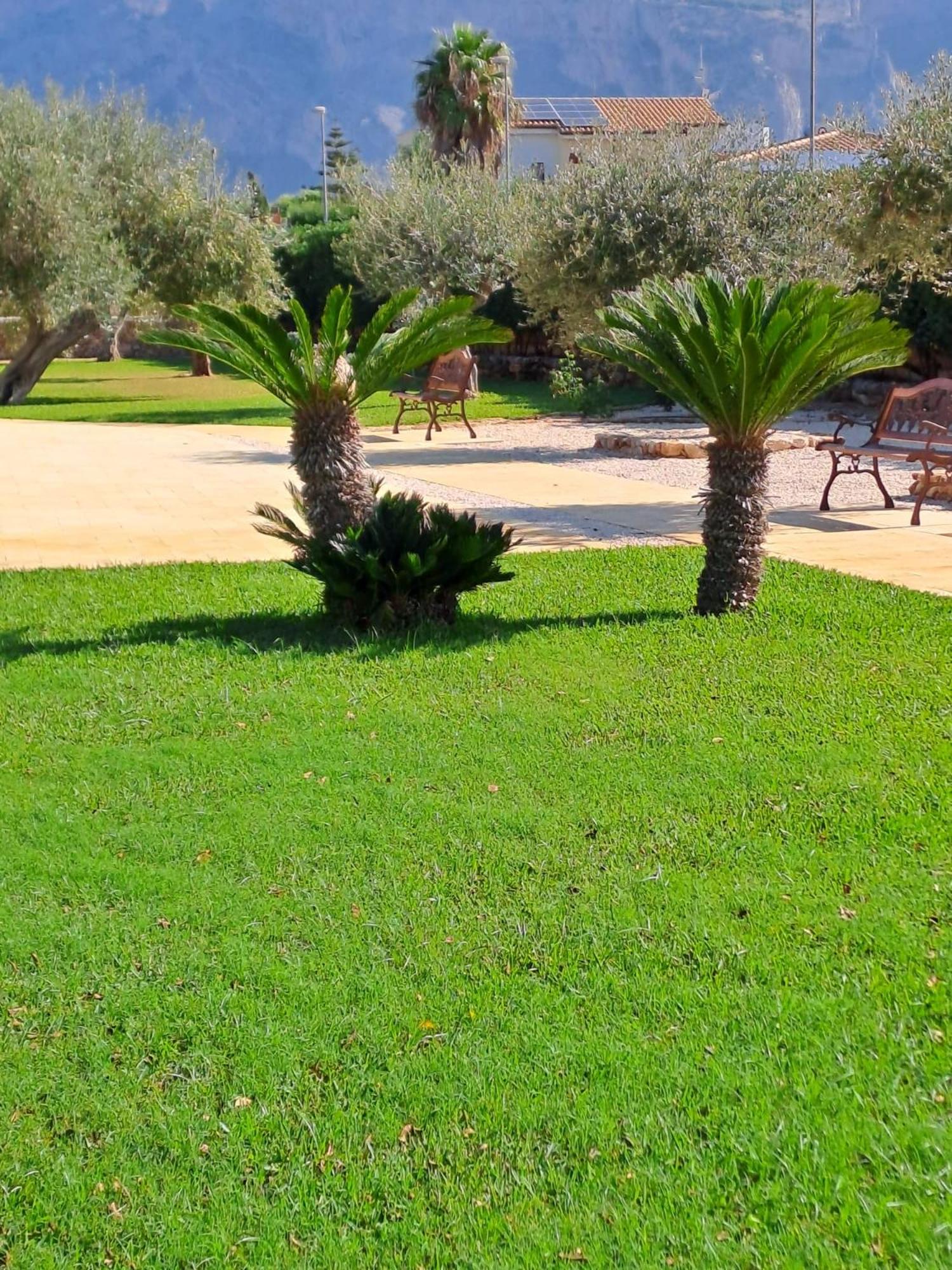Villa Albamonte