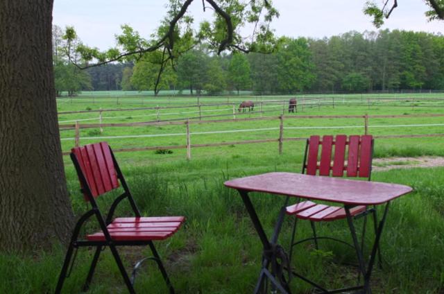 Stilvolle Gästezimmer auf romantischem Pferdehof