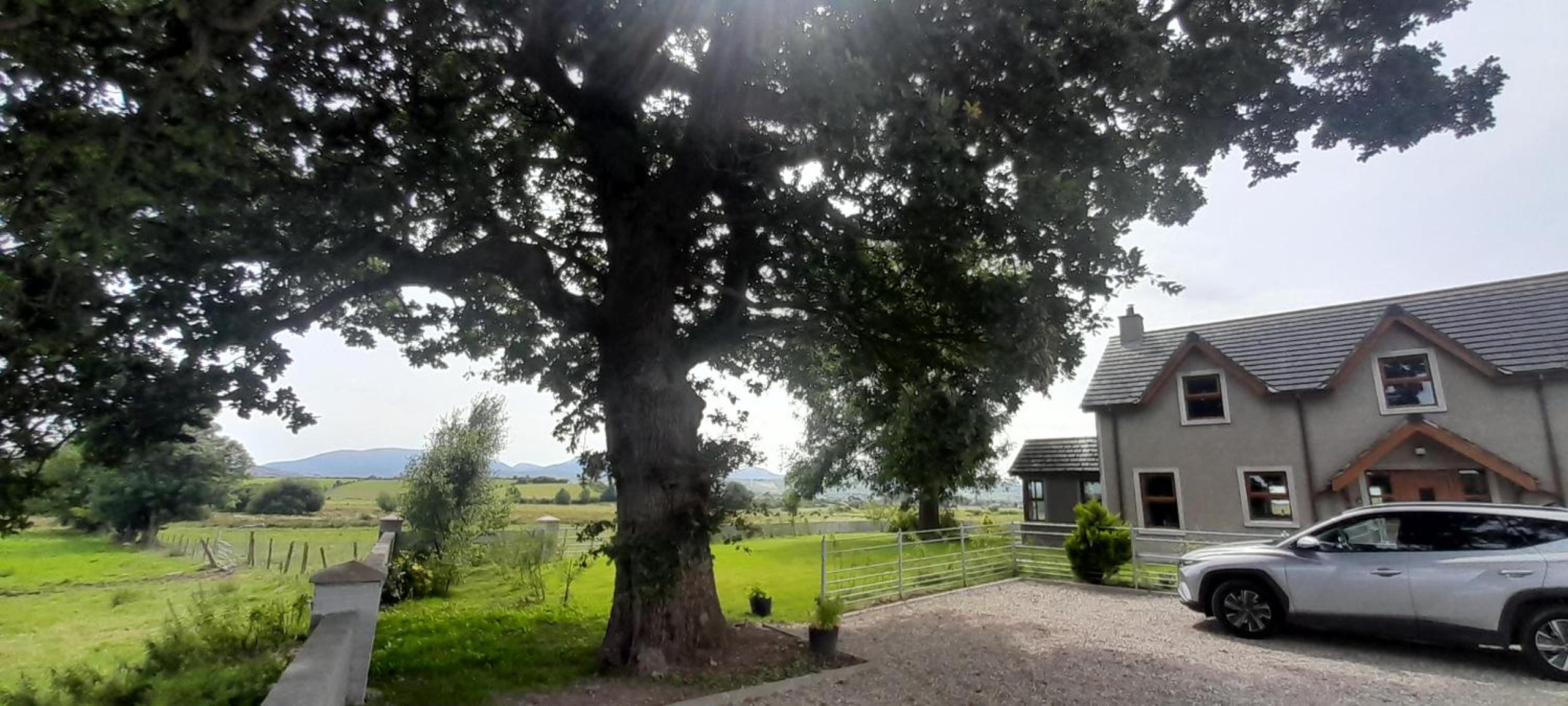 Oaktree Manor - BBQ, games rooms and pet friendly