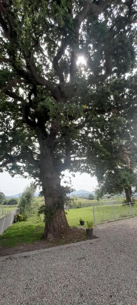 Oaktree Manor - BBQ, games rooms and pet friendly