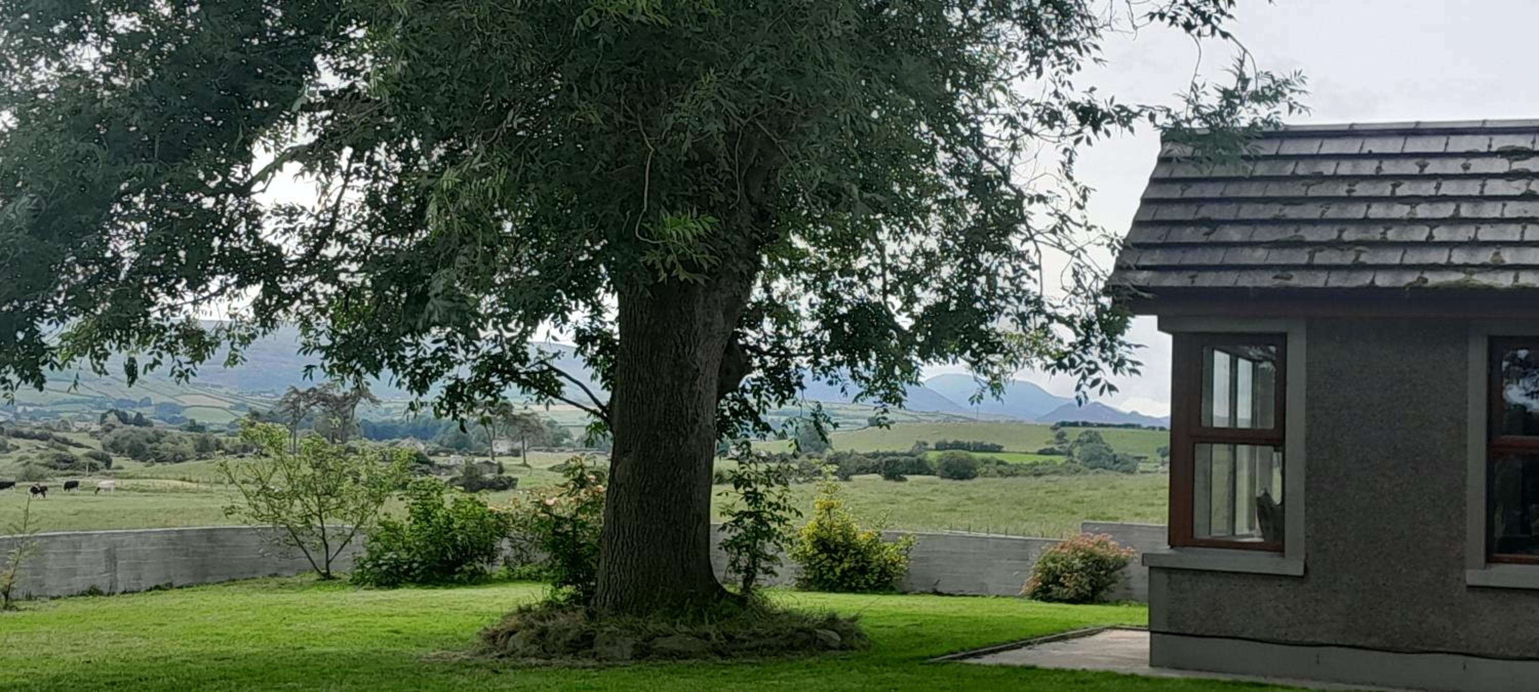 Oaktree Manor - BBQ, games rooms and pet friendly