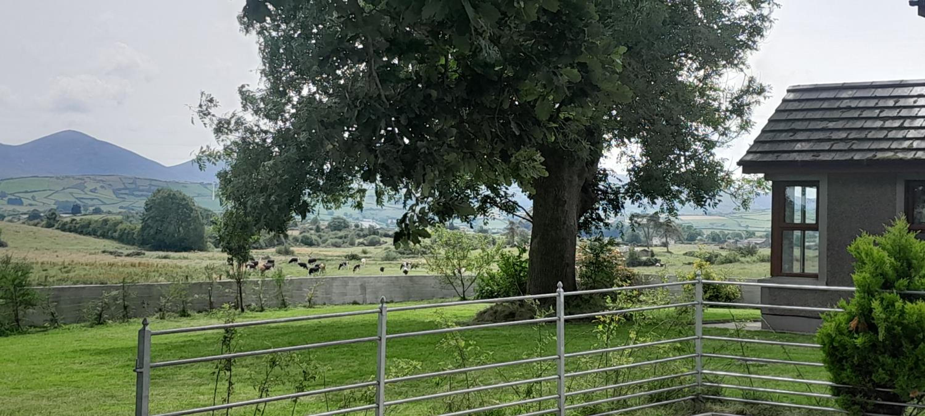 Oaktree Manor - BBQ, games rooms and pet friendly