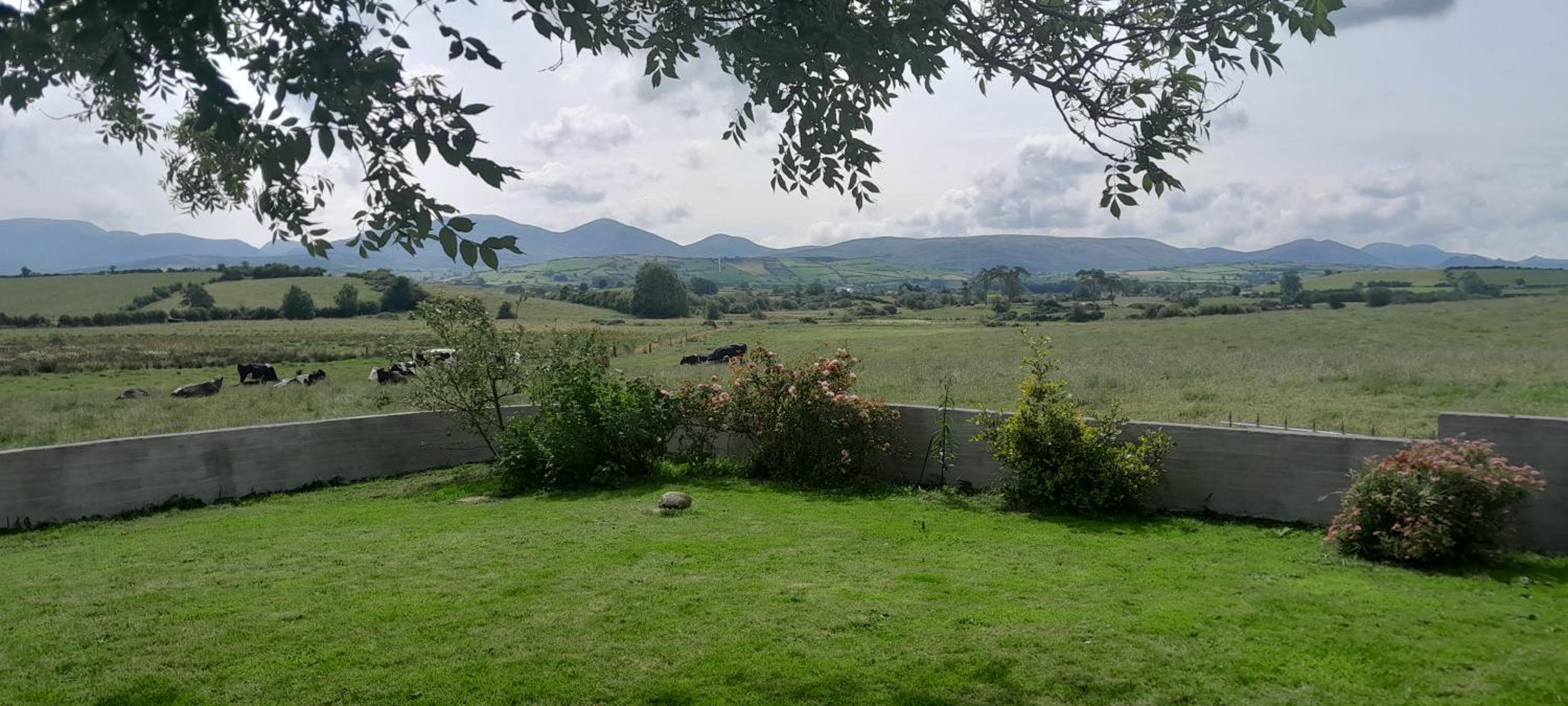 Oaktree Manor - BBQ, games rooms and pet friendly