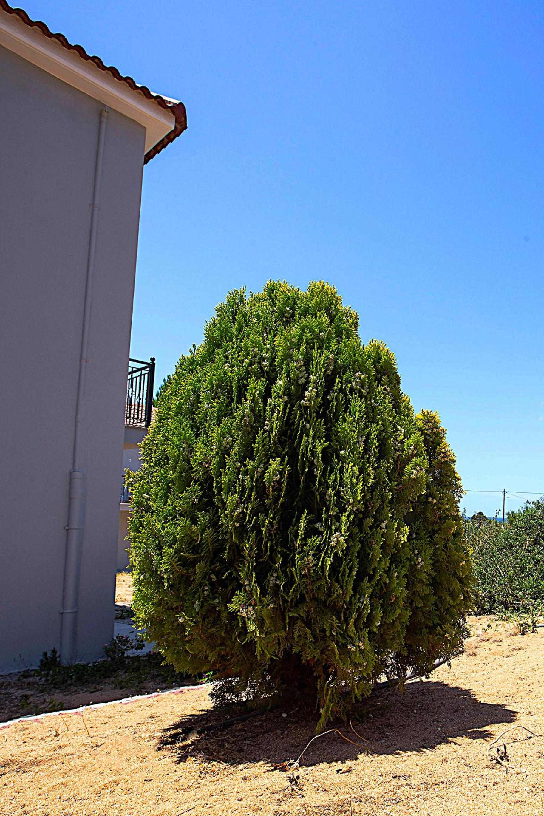 Romanos Beach Villas