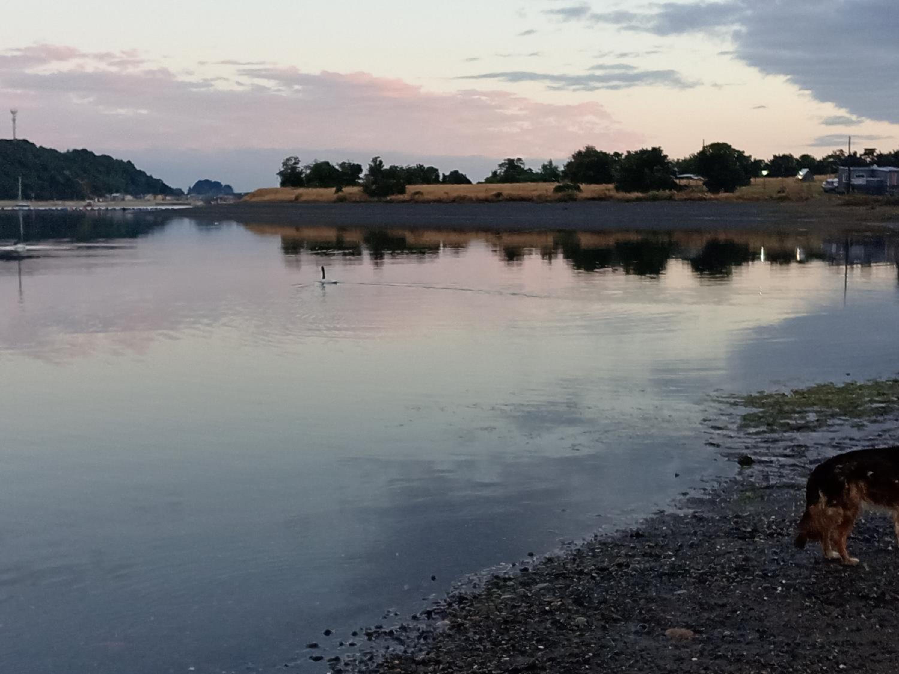 Camping y cabañas ambar