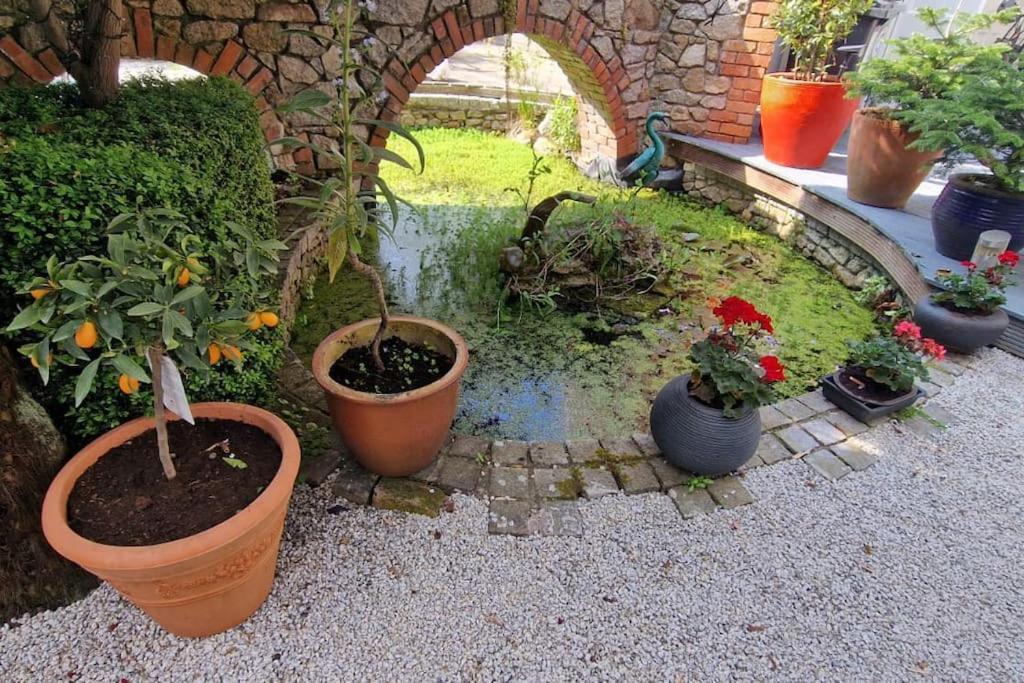 Hideaway Garden Paradise
