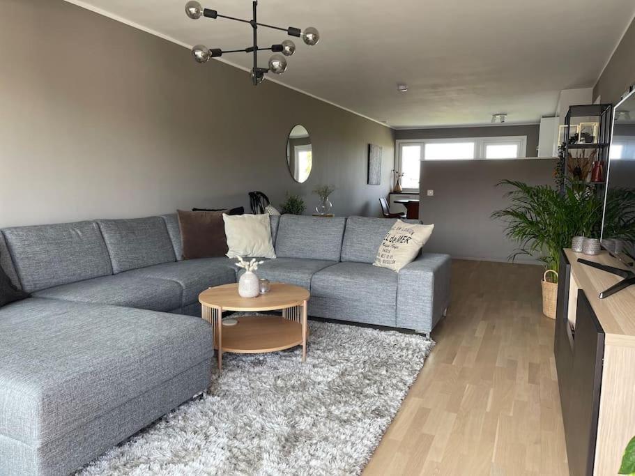 Apartment for rent during ONS less than 100m from the exhibition area view 3