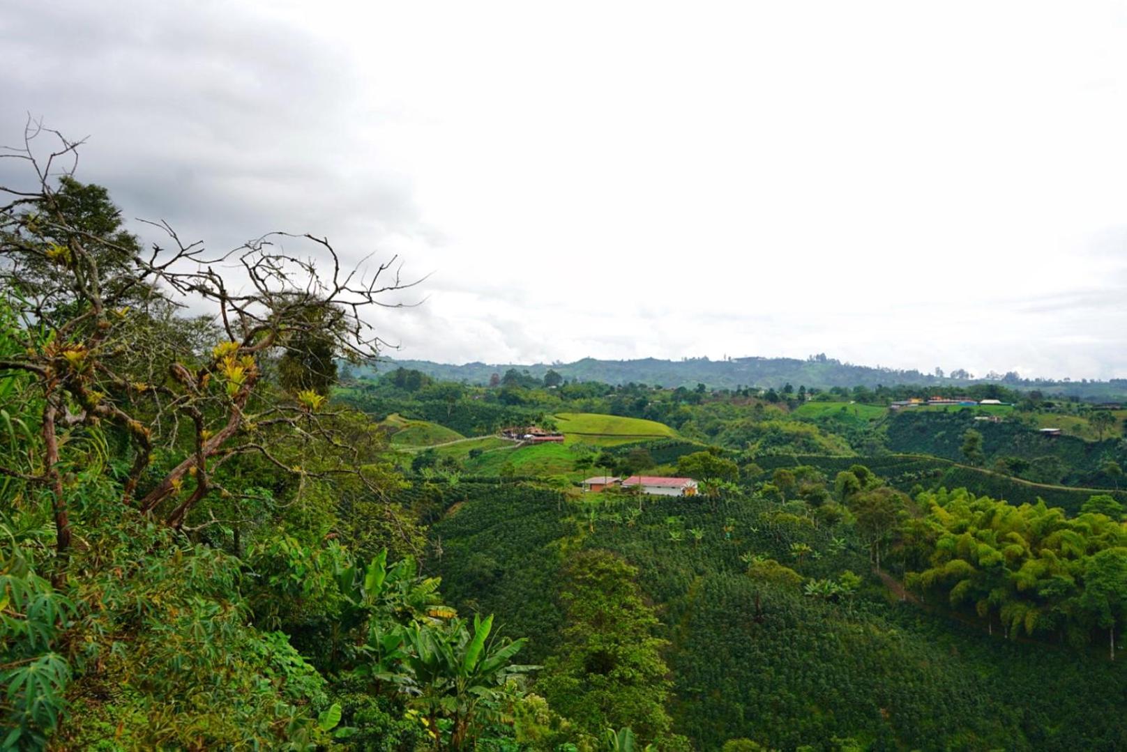 Hospedaje Mirador La Aurora Filandia