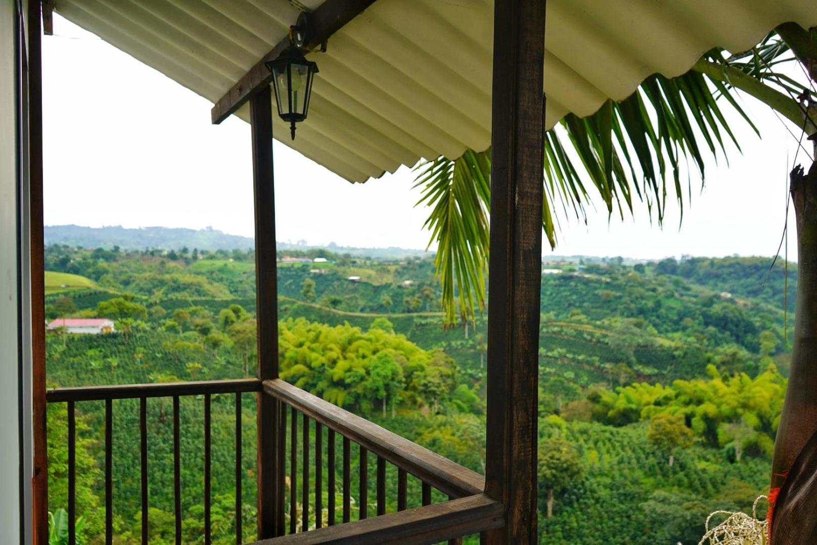 Hospedaje Mirador La Aurora Filandia