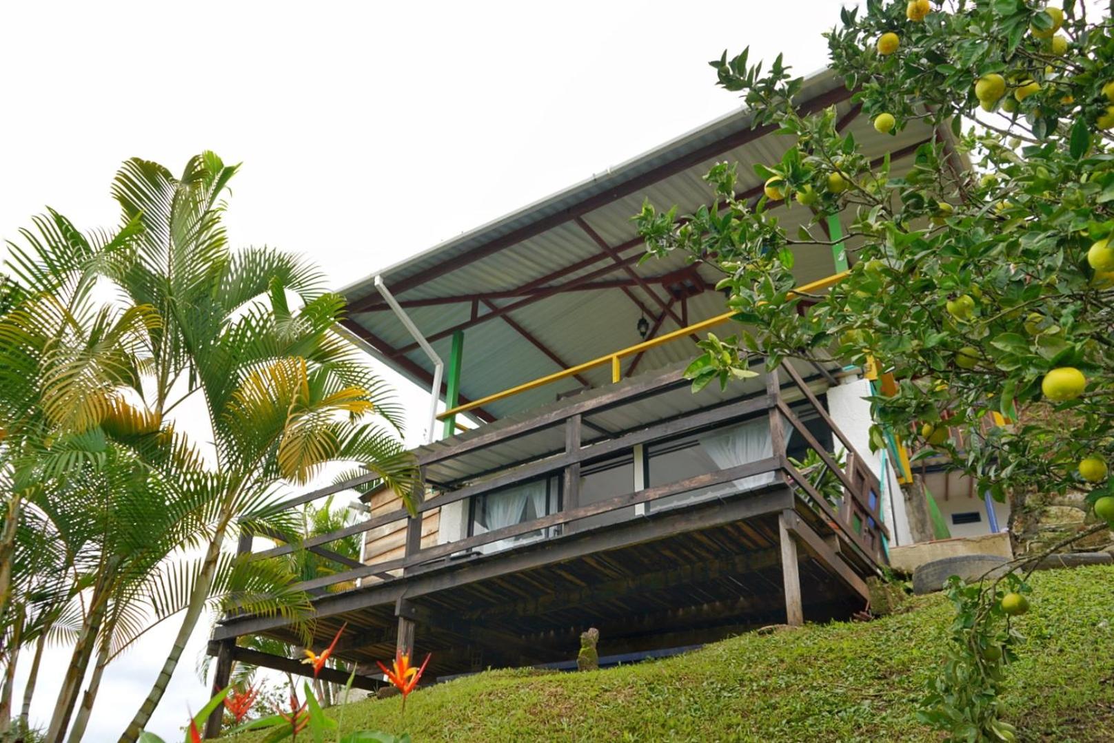 Hospedaje Mirador La Aurora Filandia