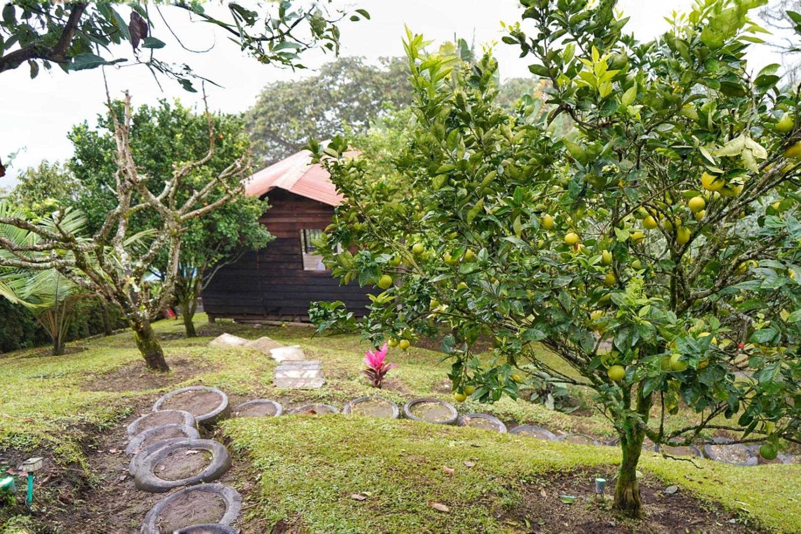 Hospedaje Mirador La Aurora Filandia